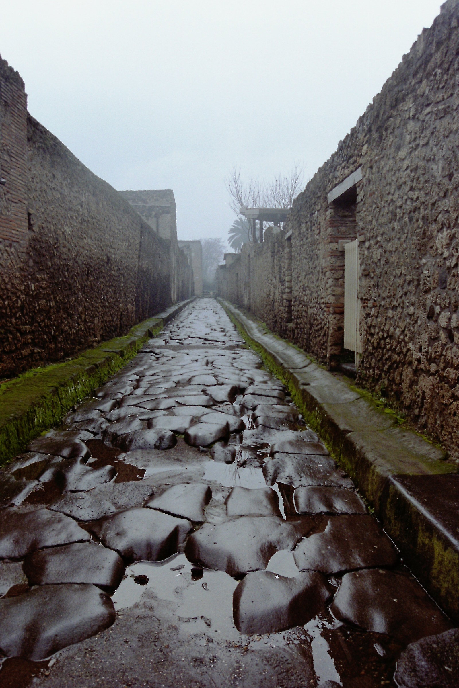 Pompei. Via 18
