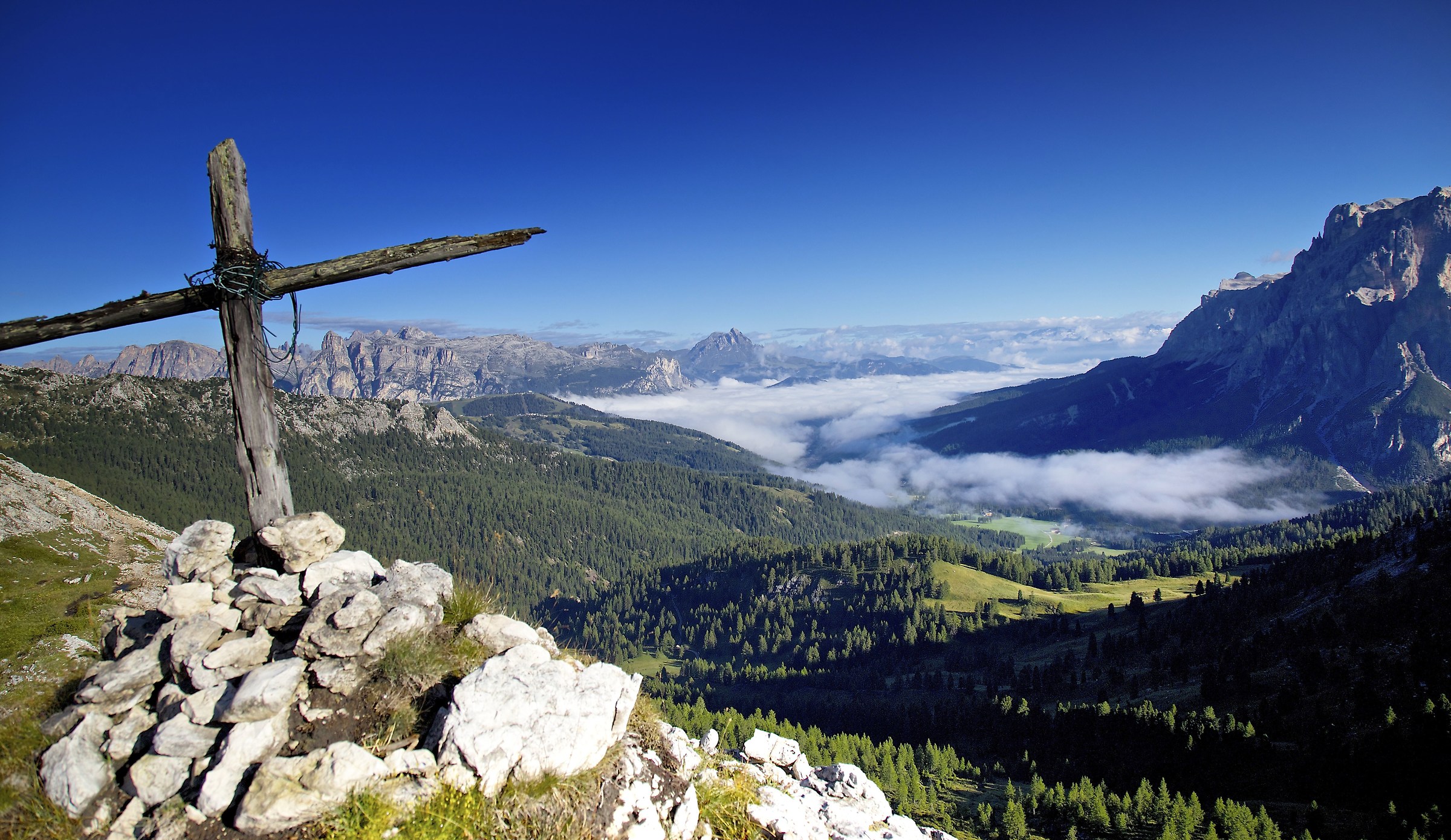 100 years passed in vain ..