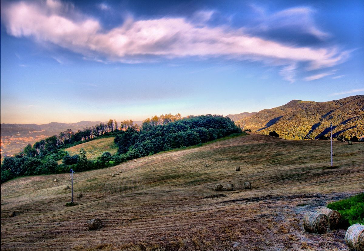 Paesaggio Firenzuola - FI