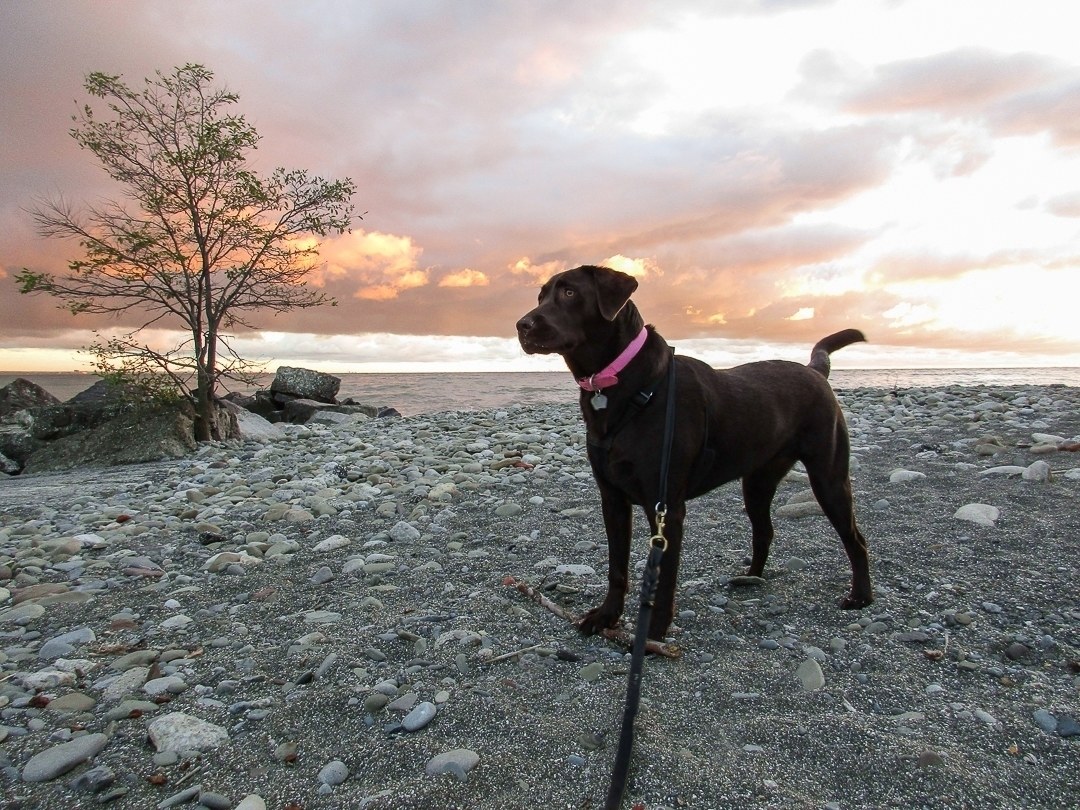 Abbastanza ragazza del lago