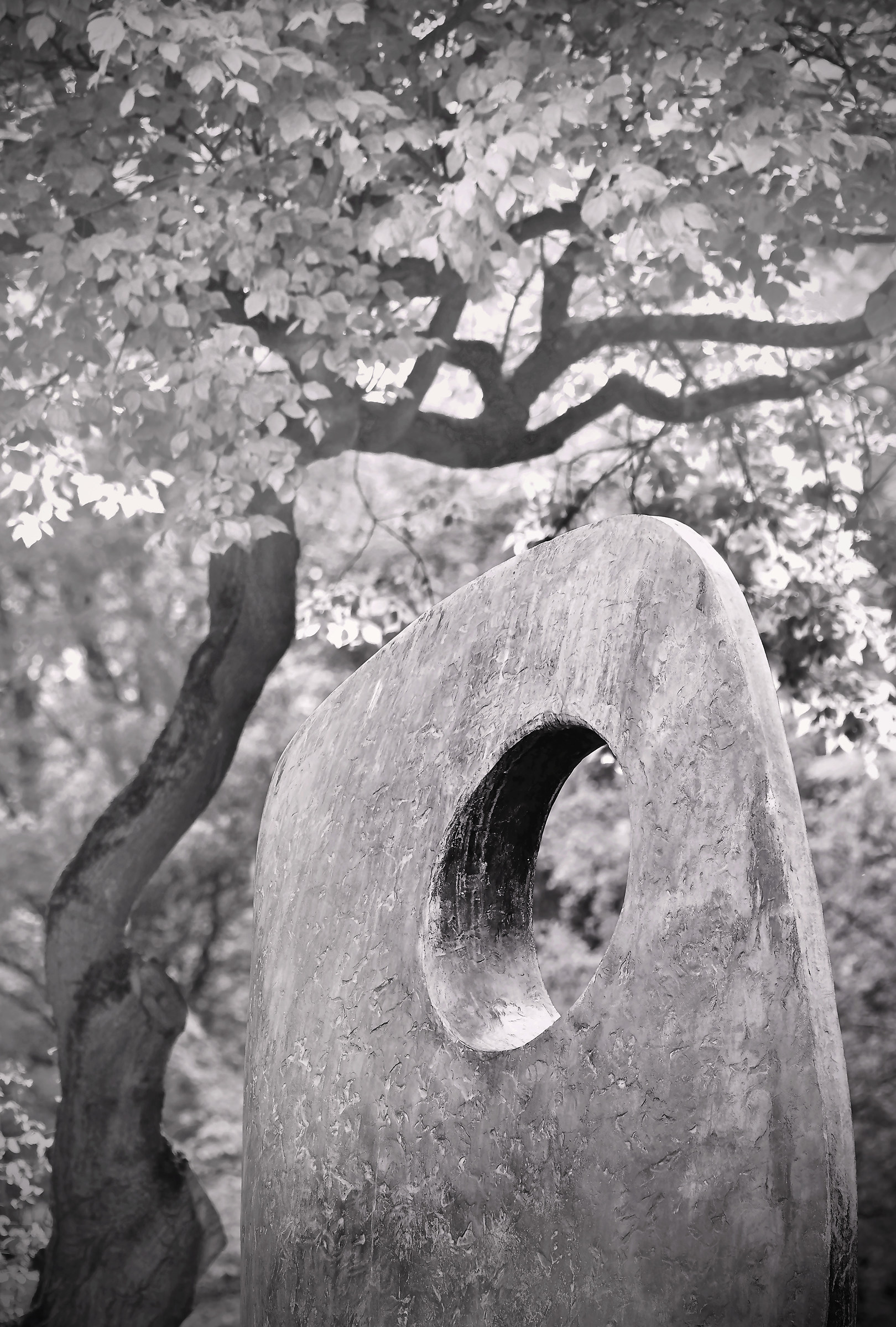 Hepworth: Modulo unico; Battersea Park