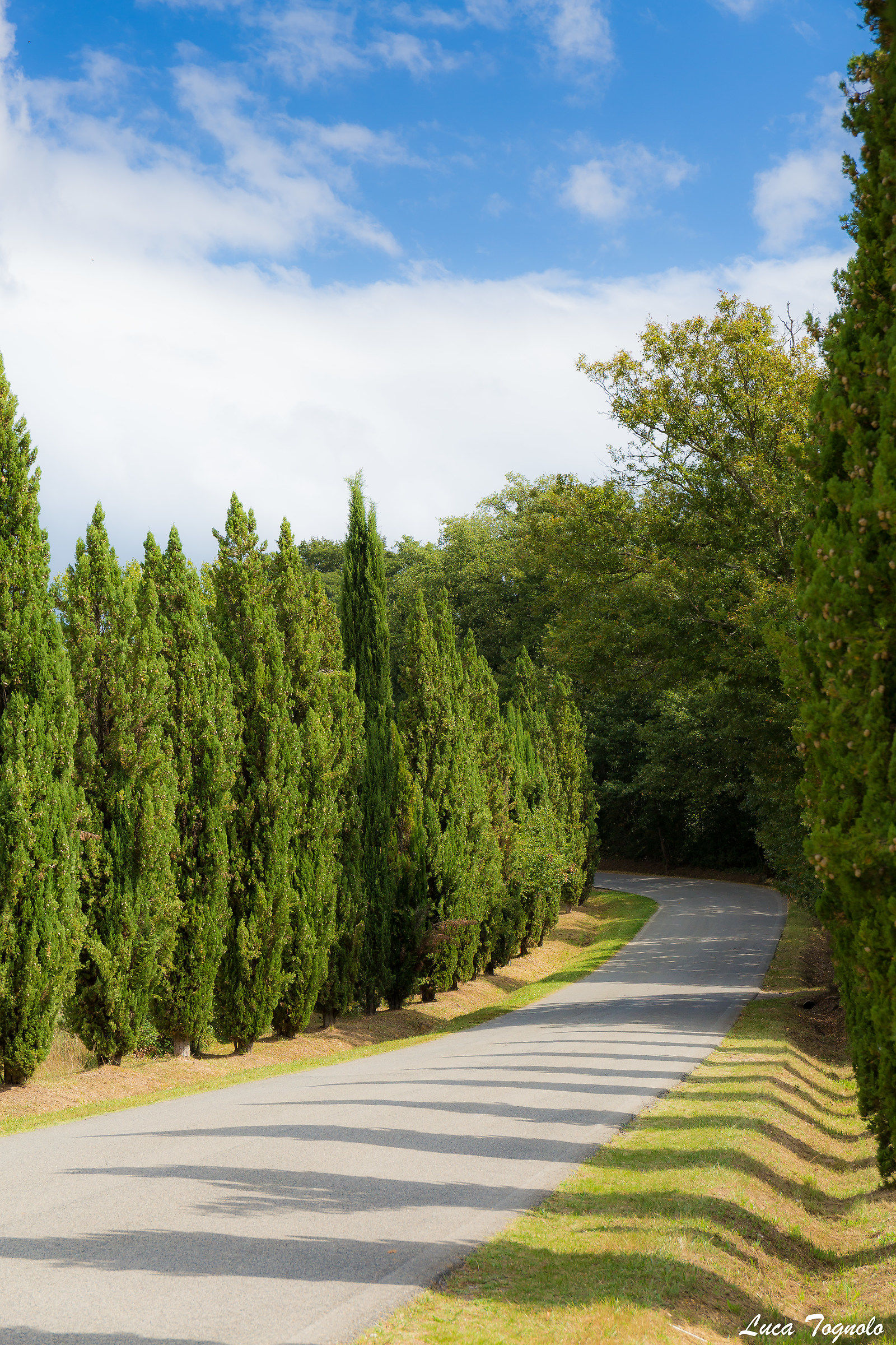 The Road to San Galgano