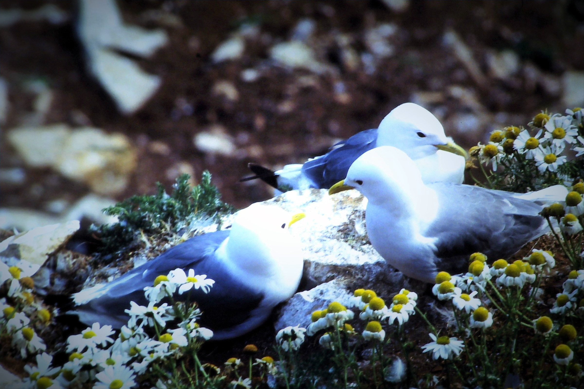 Il riposo dei pescatori