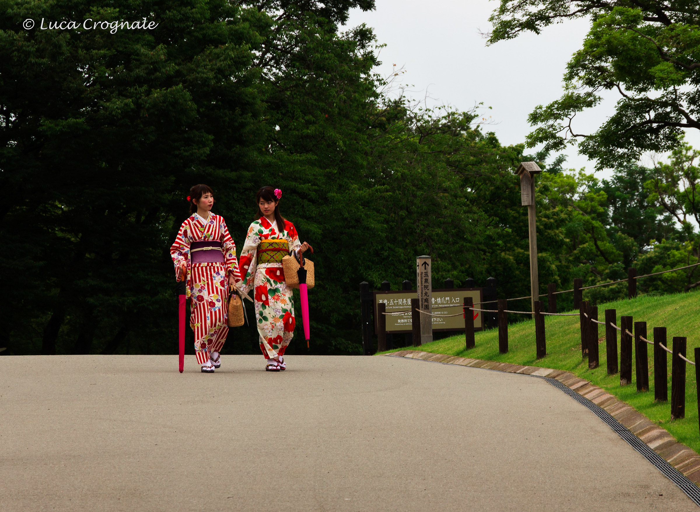 andiamo a fare un giro in corso?