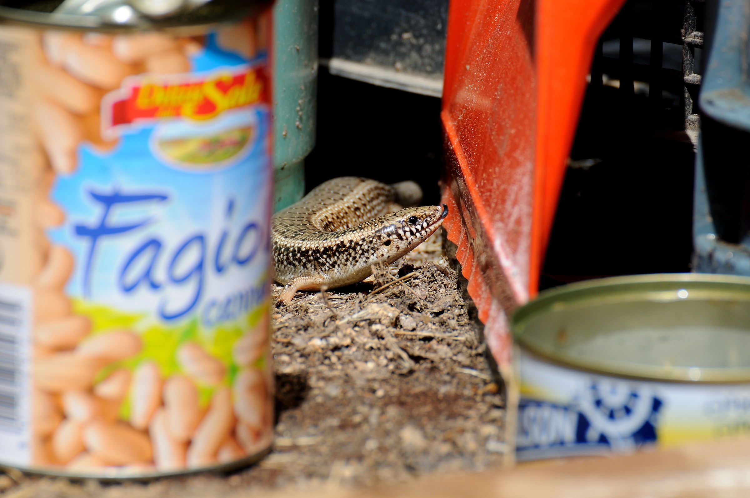 Una volta qui era tutta campagna