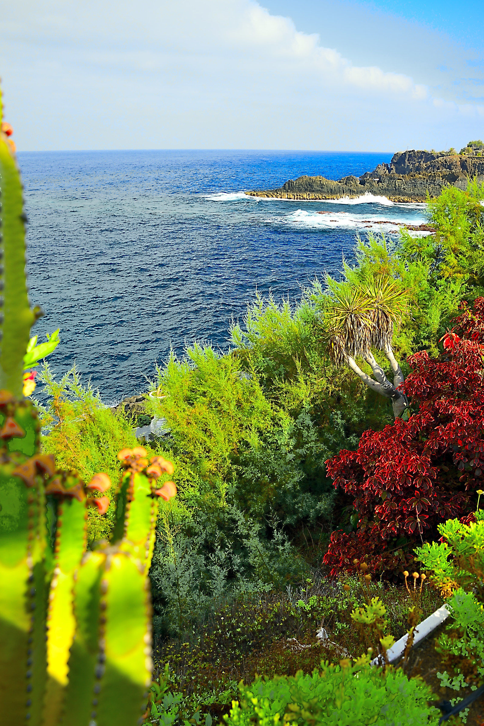 Paesaggio di mare----