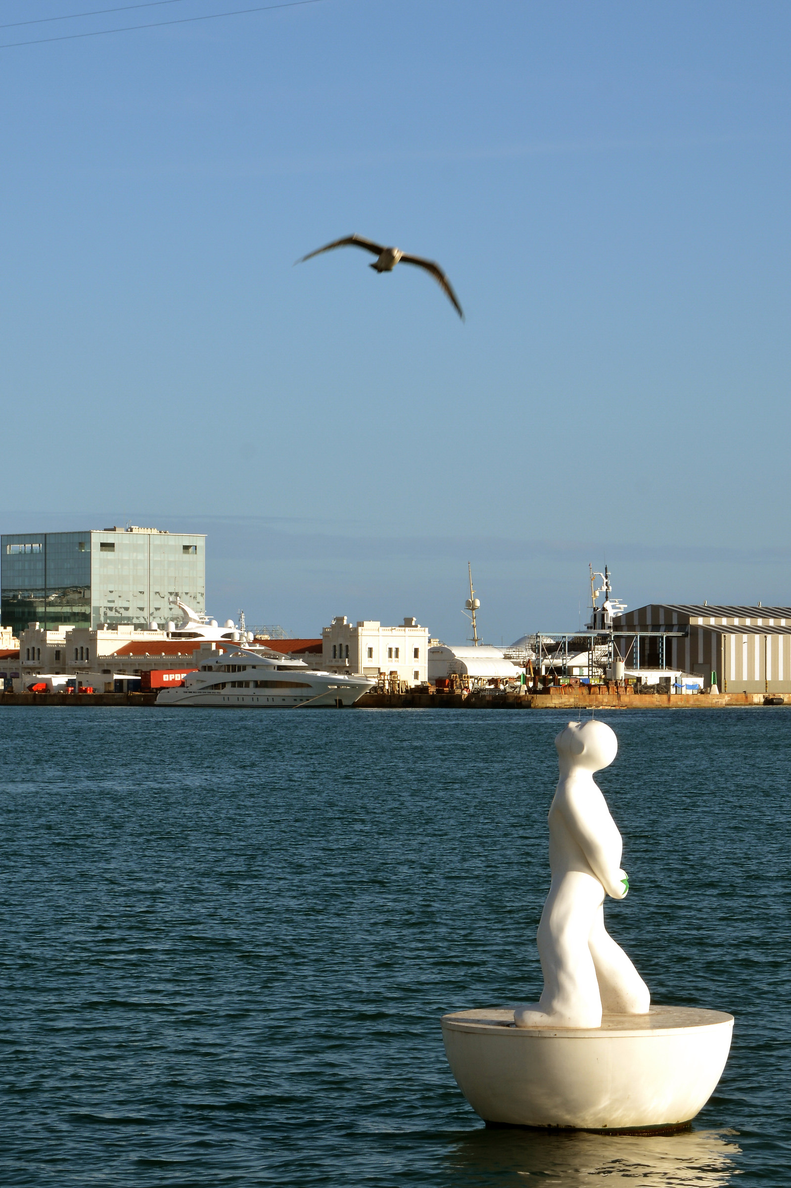 Subbuteo and Seagull