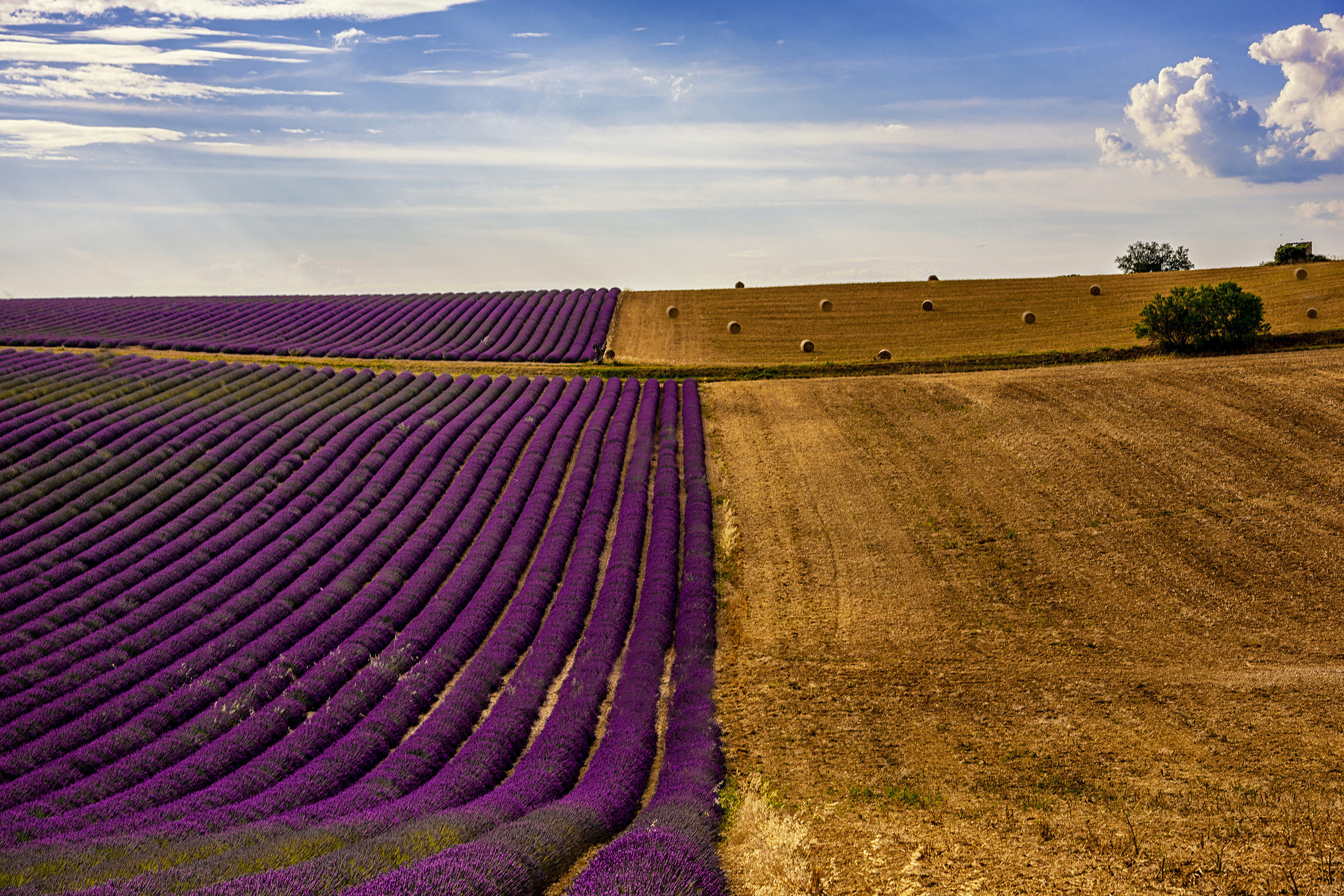 Provenza Luglio 2016