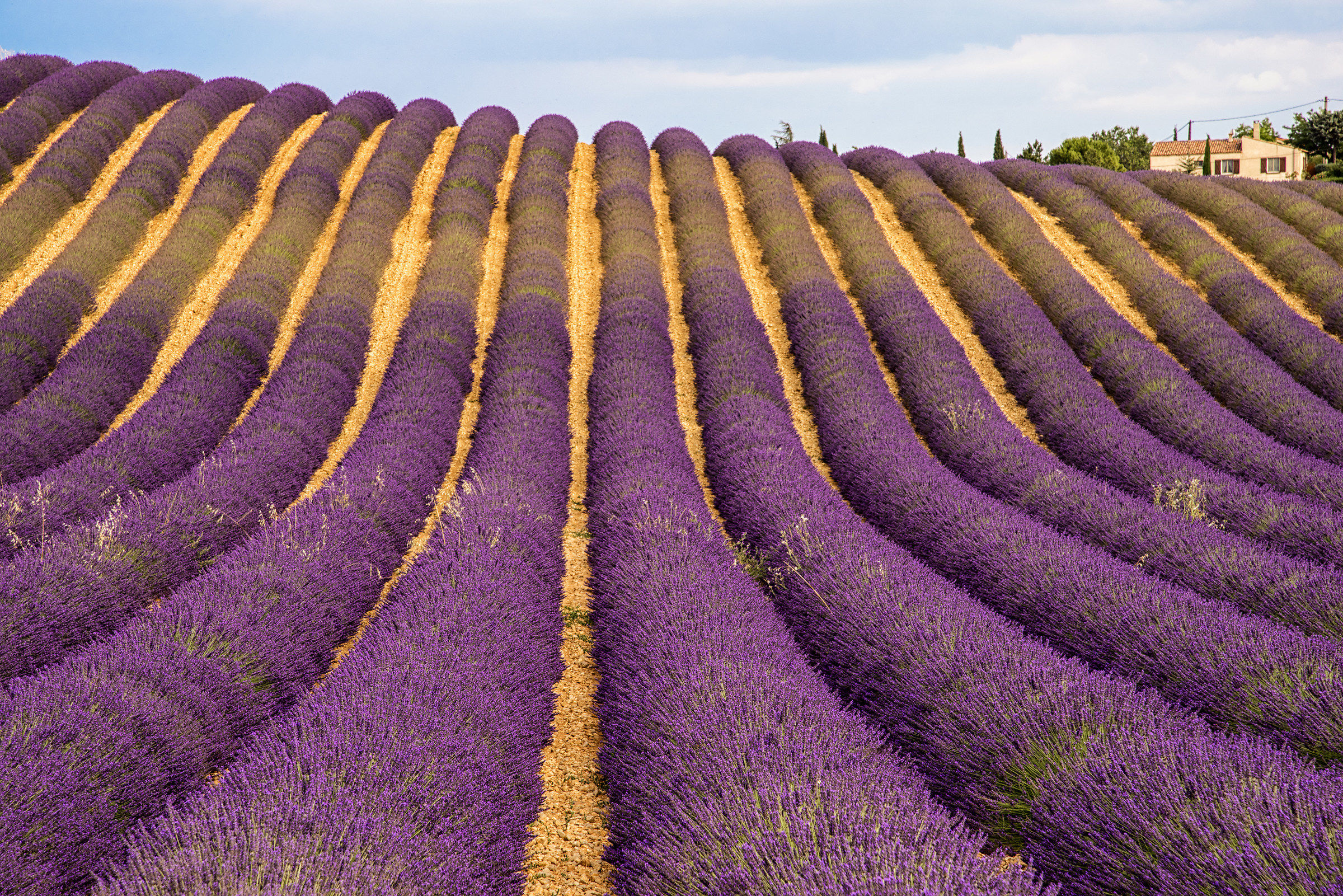 Provenza Luglio 2016