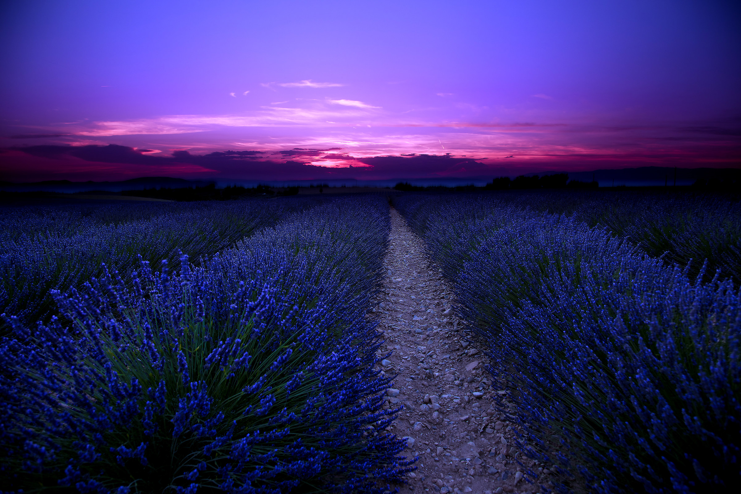 Provenza Luglio 2016