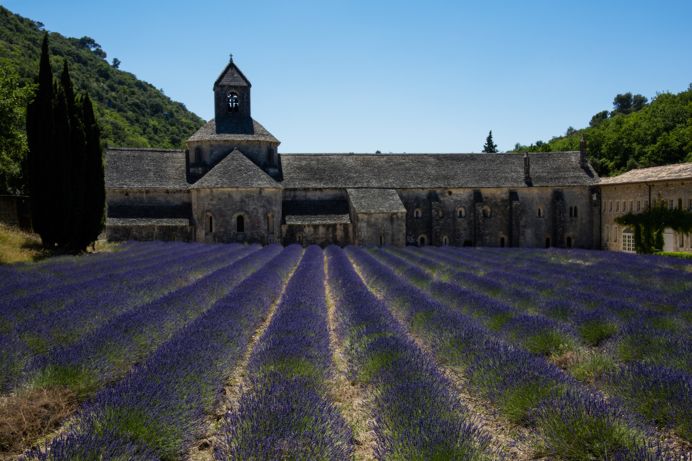 Provenza Luglio 2016