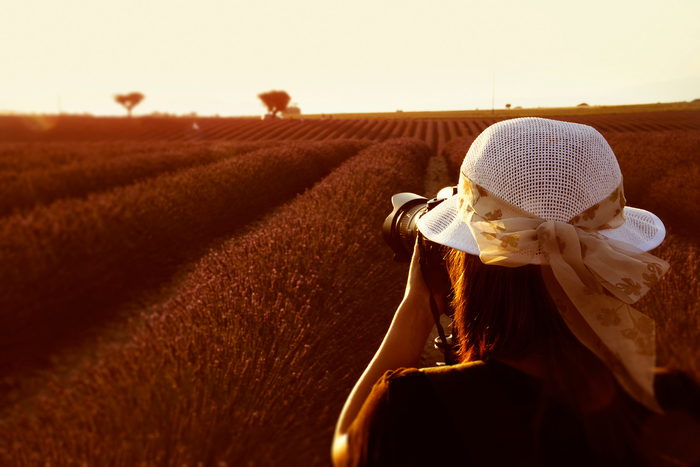 Provenza Luglio 2016