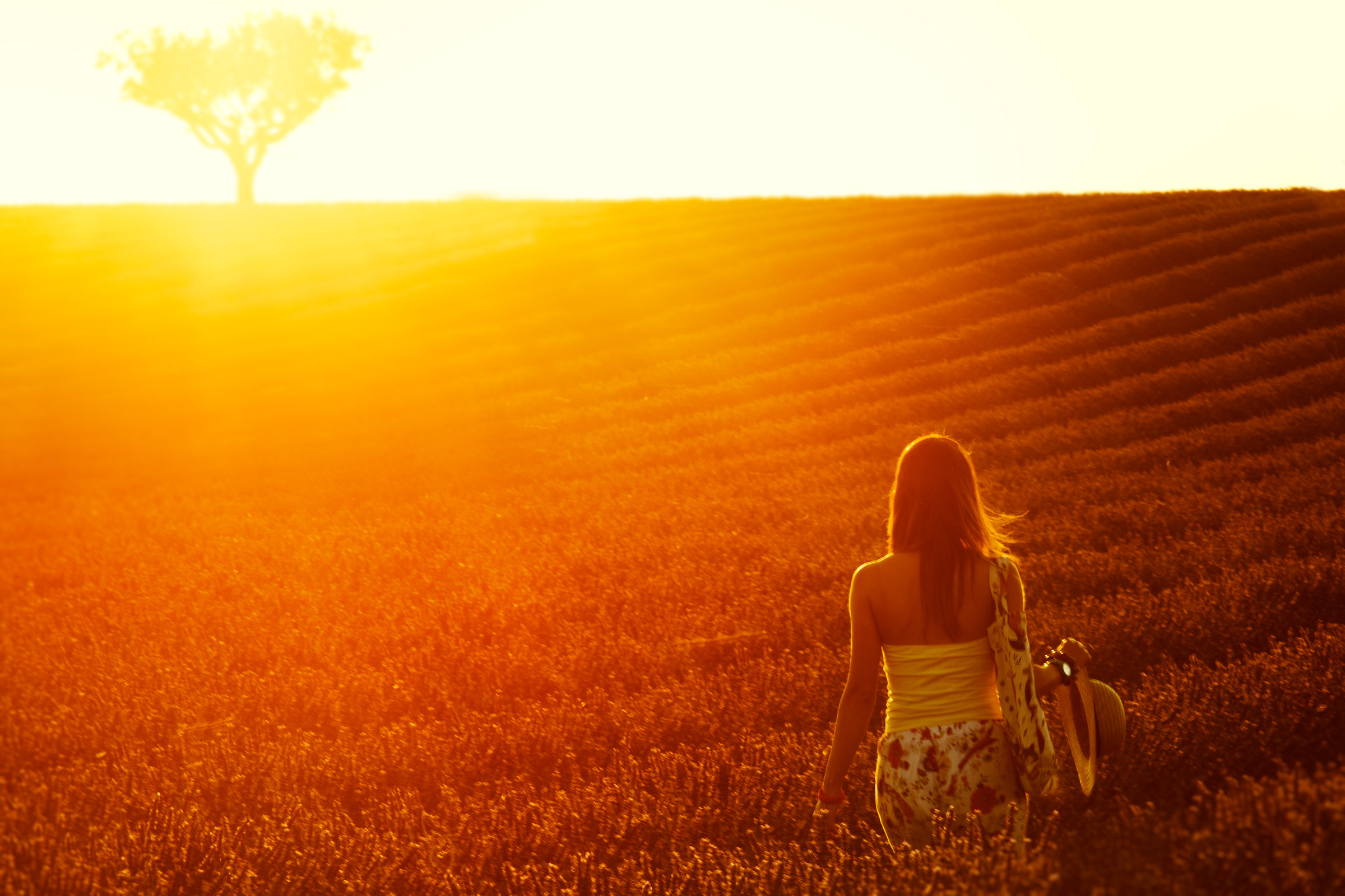 Provenza Luglio 2016