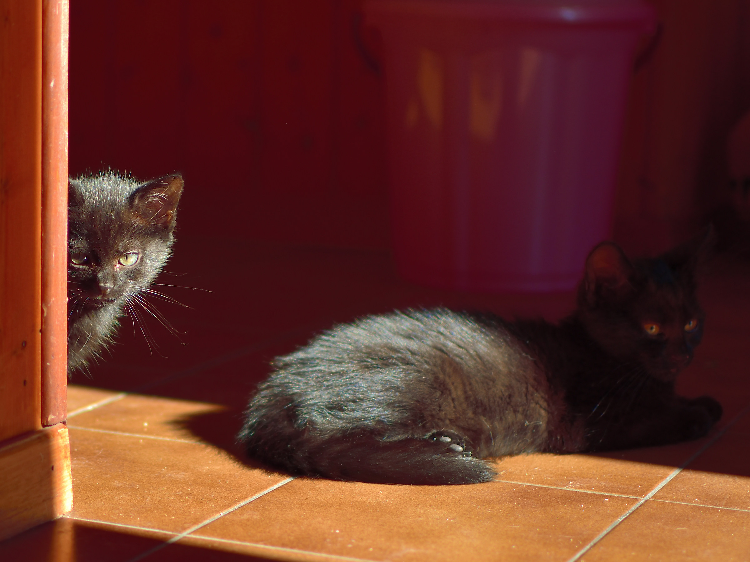 The Godfather And His Henchman