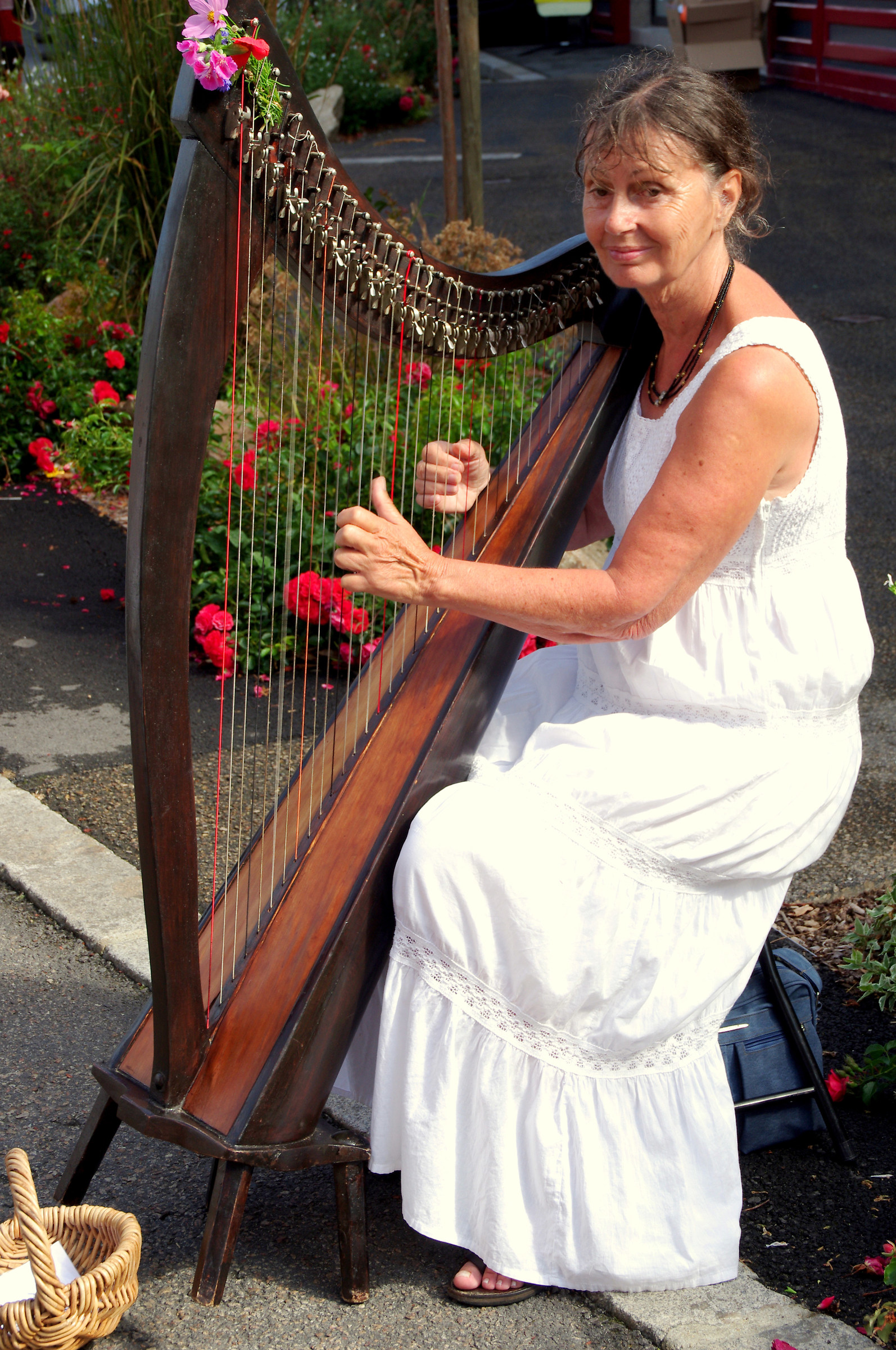 Harp Breton