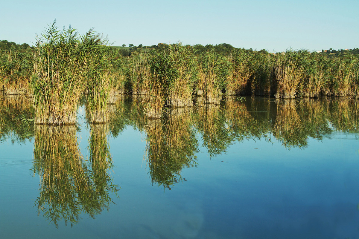 Lago di Montepulciano