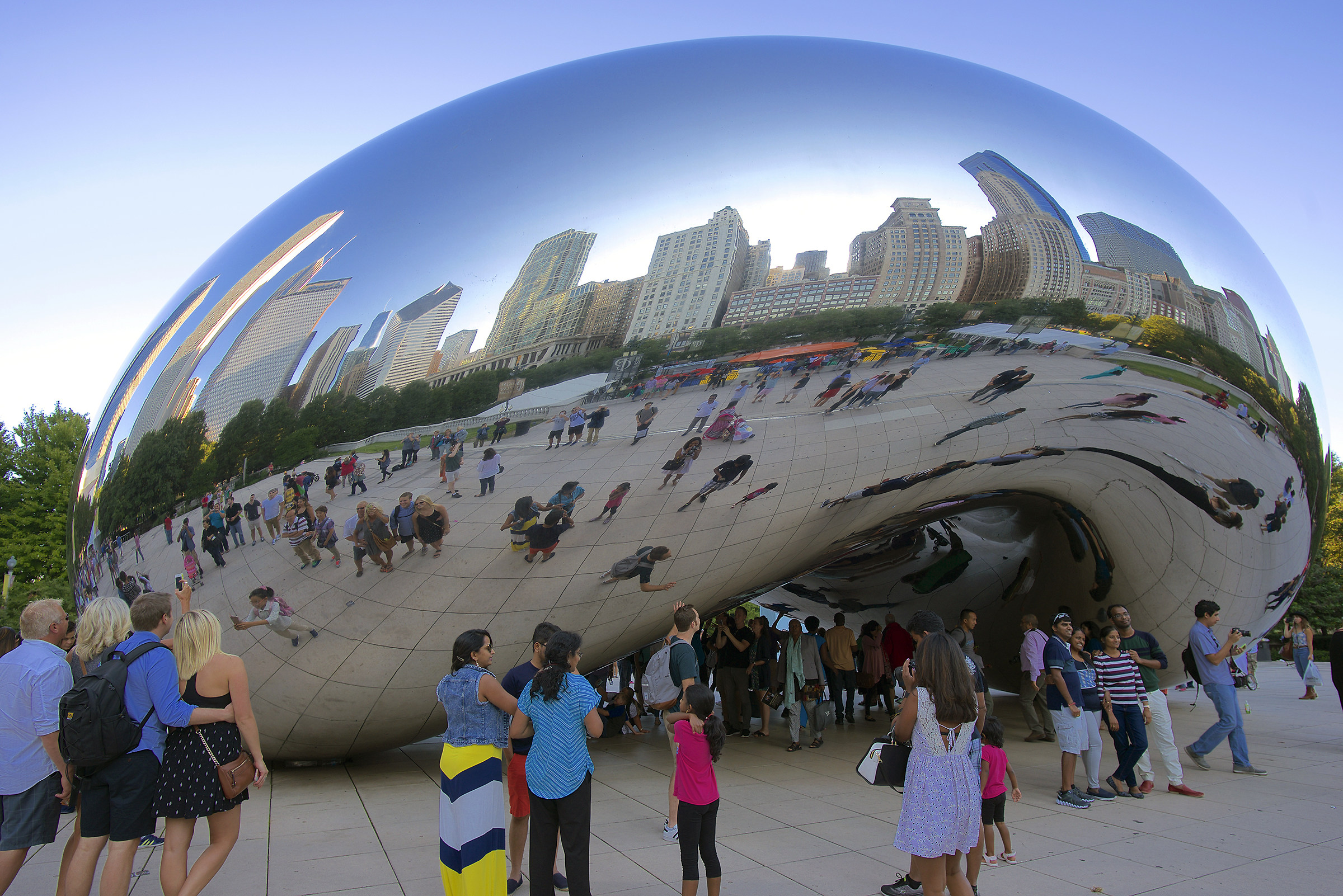 The bean