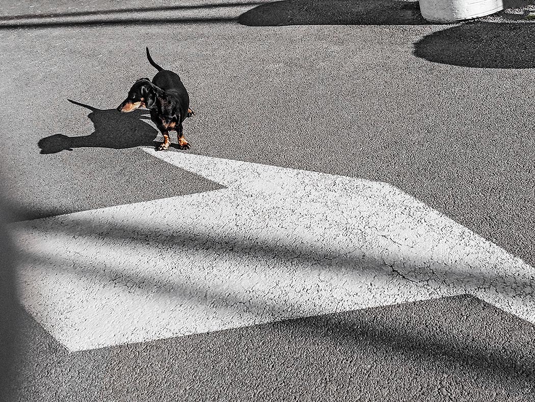 e' di qua che dobbiamo andare.