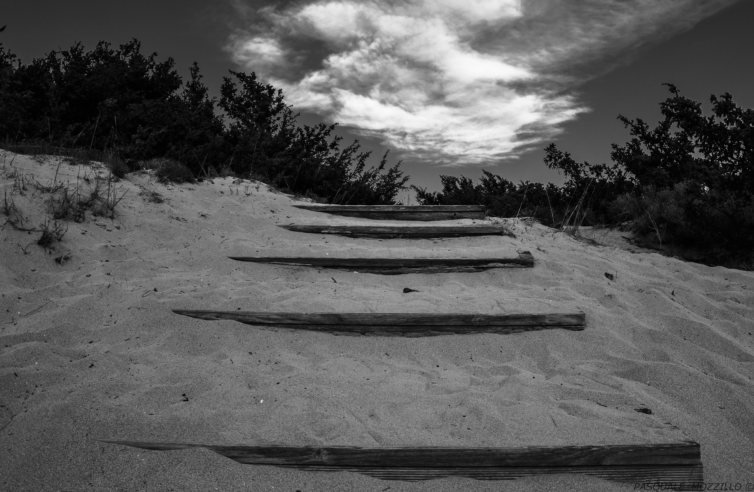 Going up to the dunes