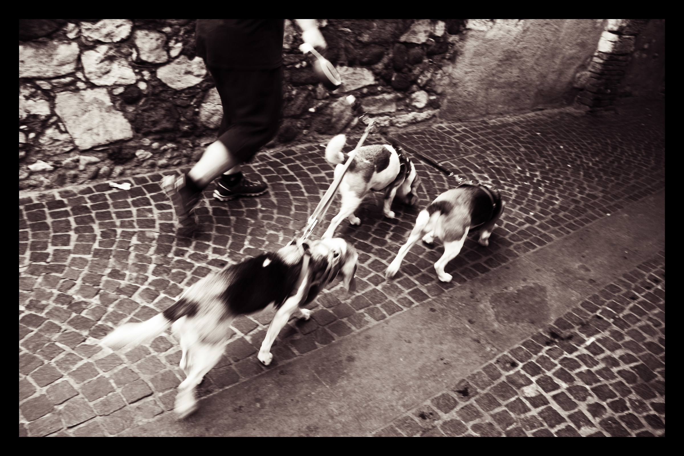 Walking around Sirmione