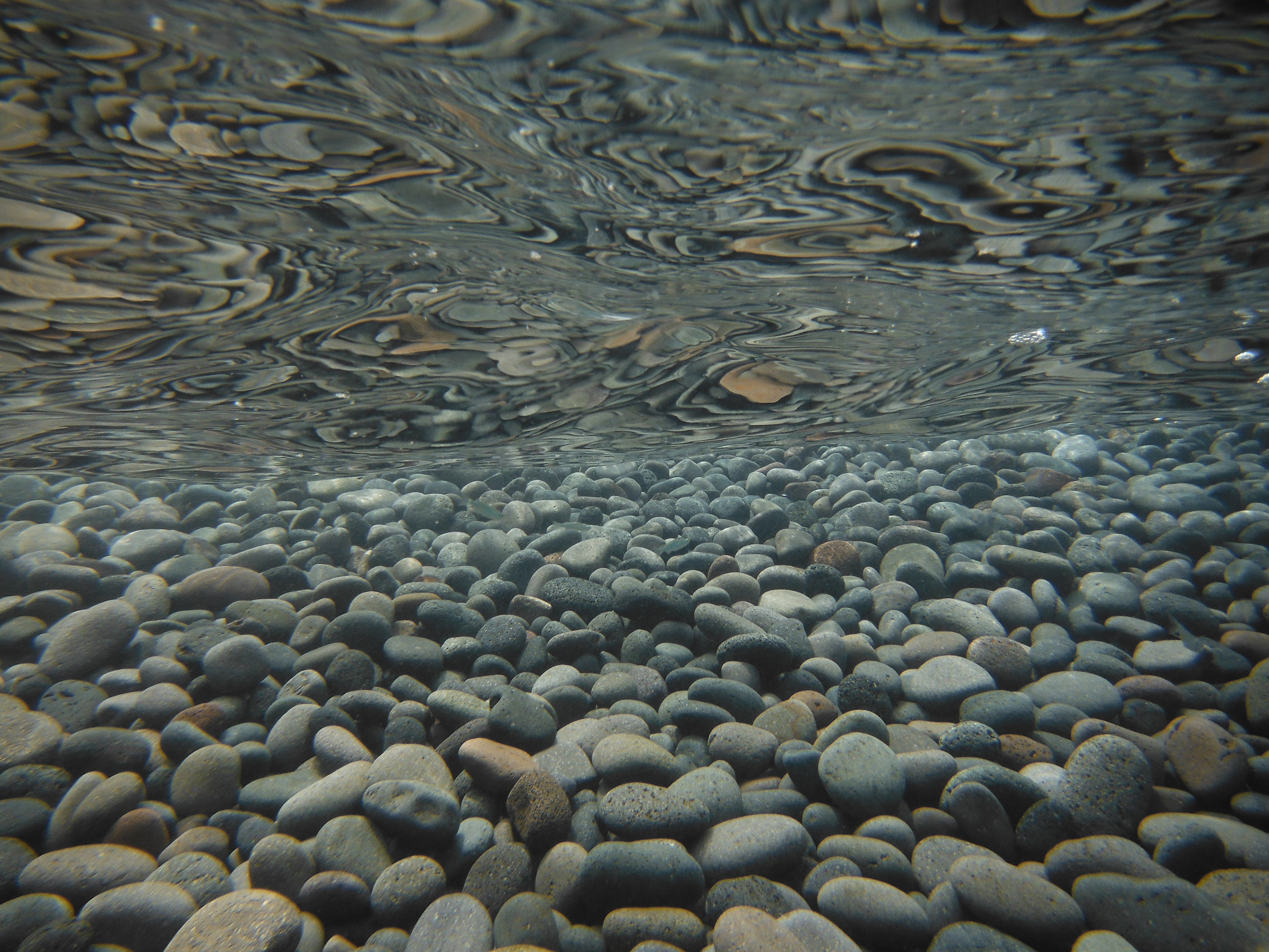 The beach for a fish