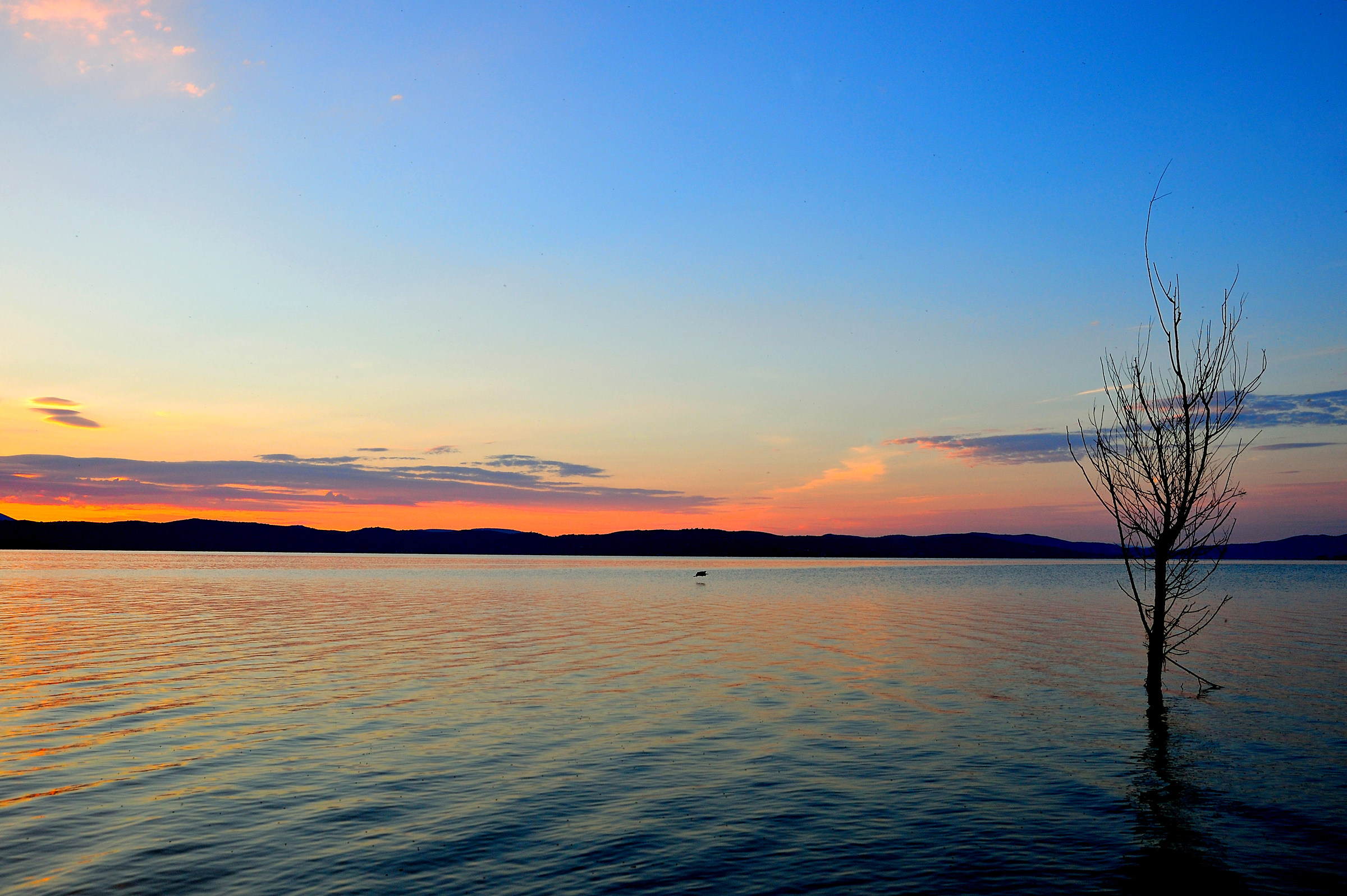 Alba from the island increased the lake Trasimeno