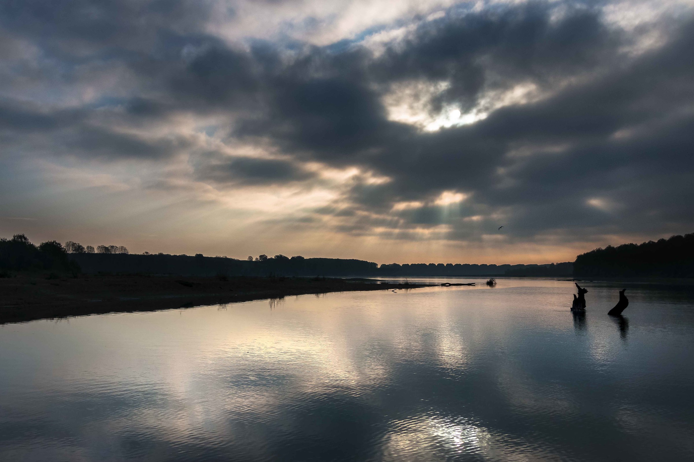 Confluenza del Ticino con il Po
