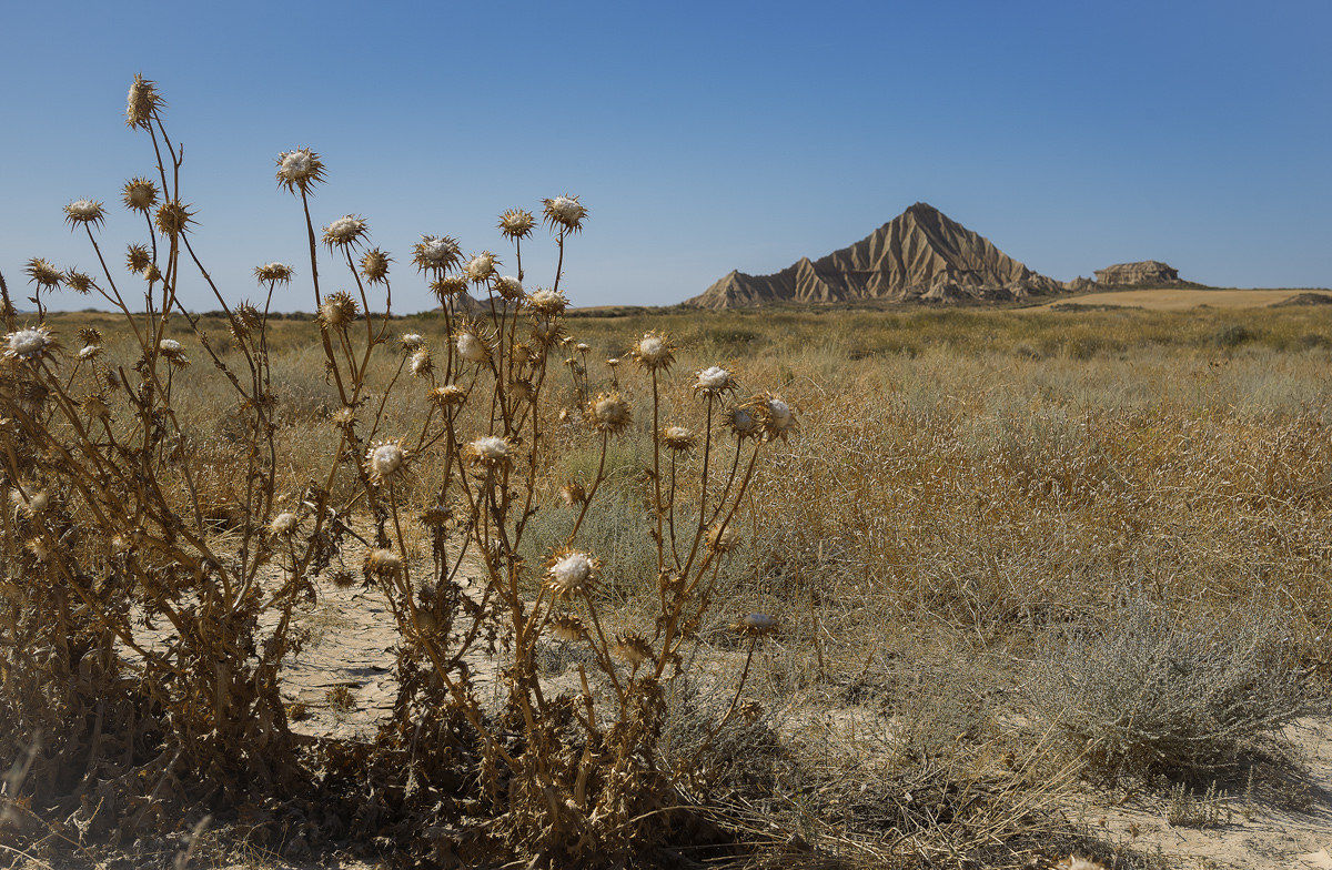 Bardenas Reales- Navarra- Spain