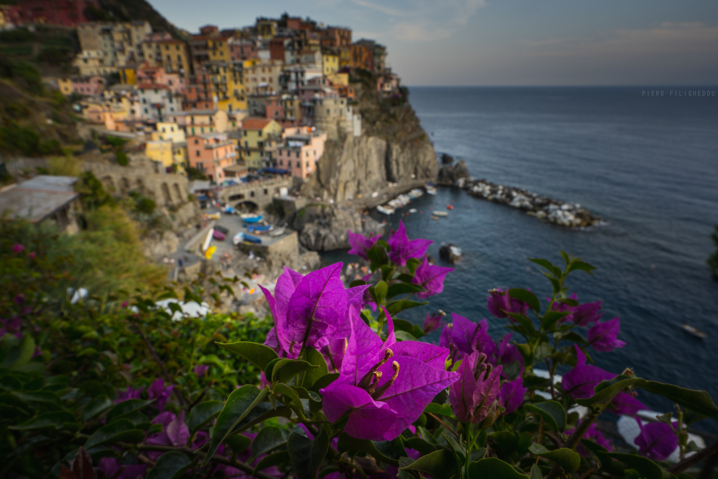 Manarola