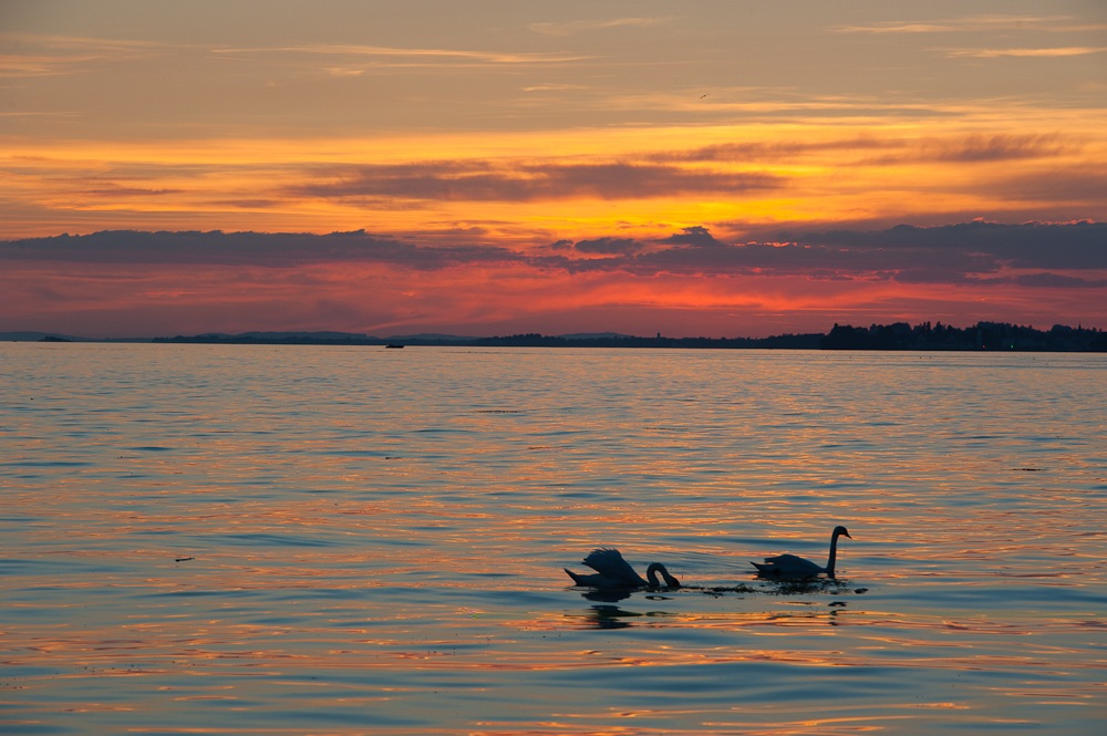 sunset on bodensee