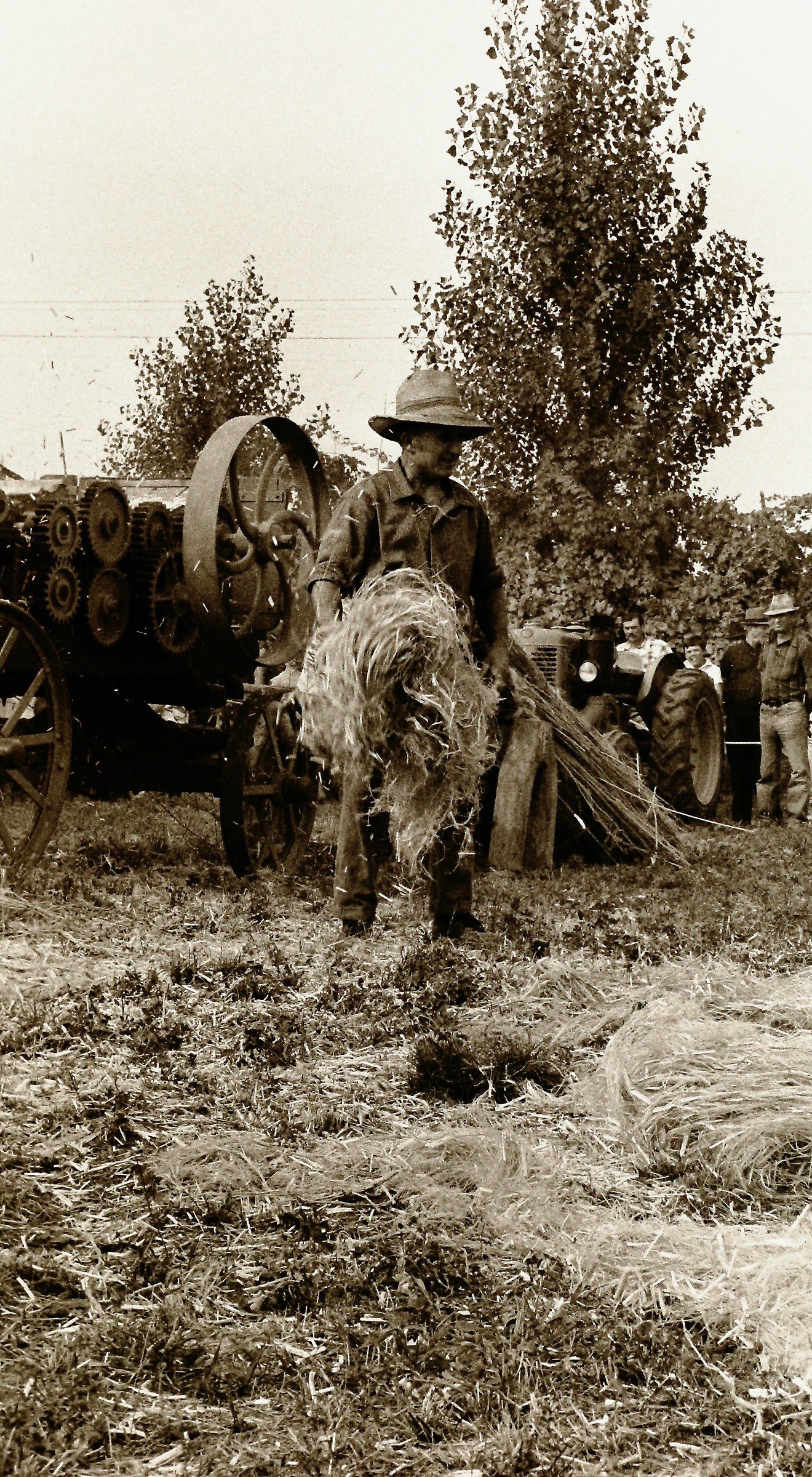 Lavorazione della canapa 01.