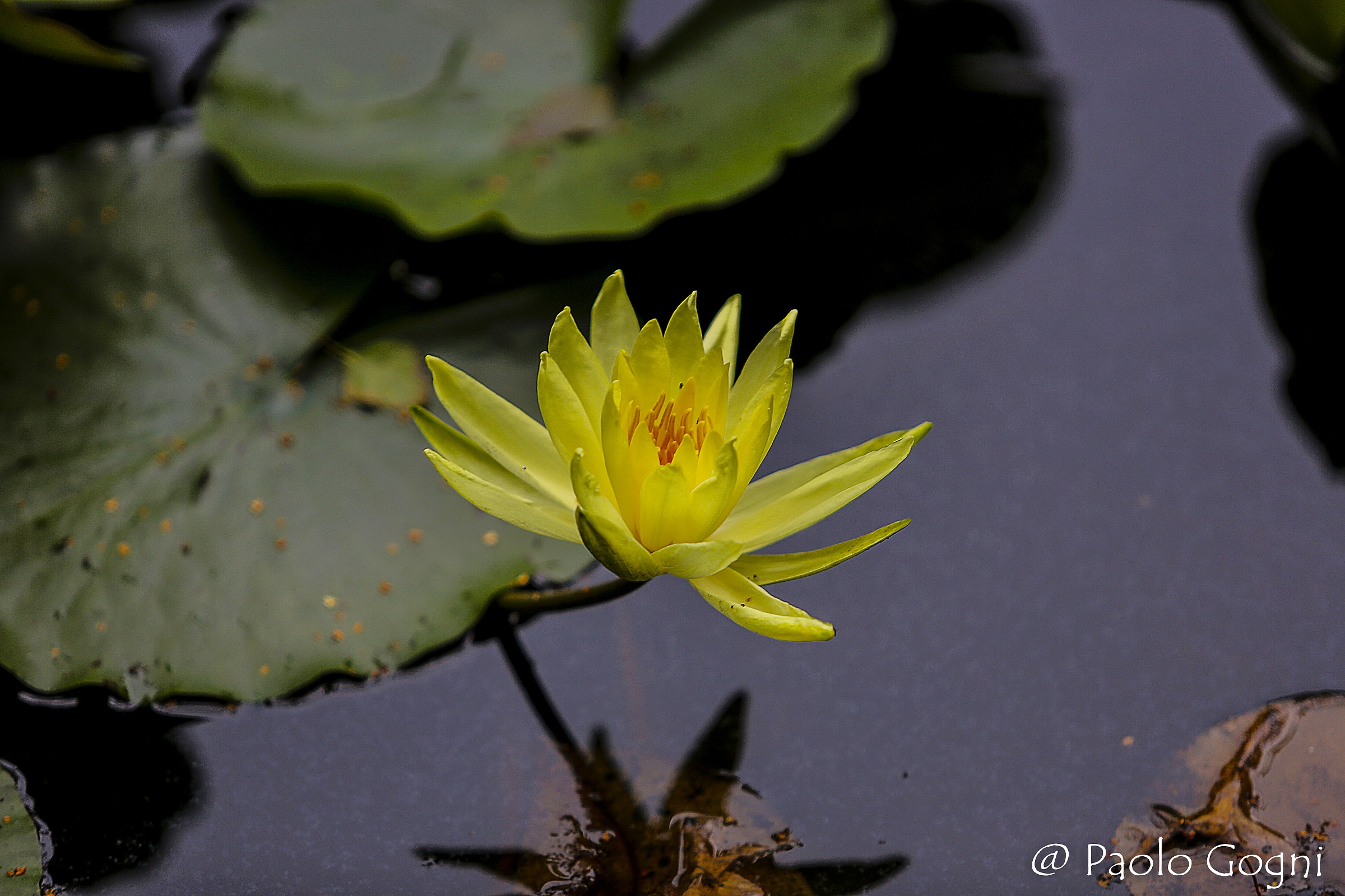 First shot with 5D Mark III to the pond Montegrino