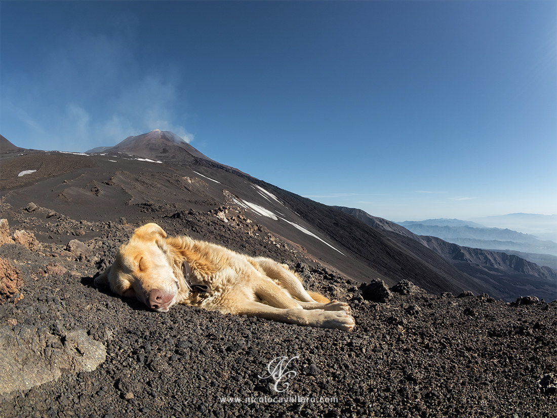 Pennichella in quota