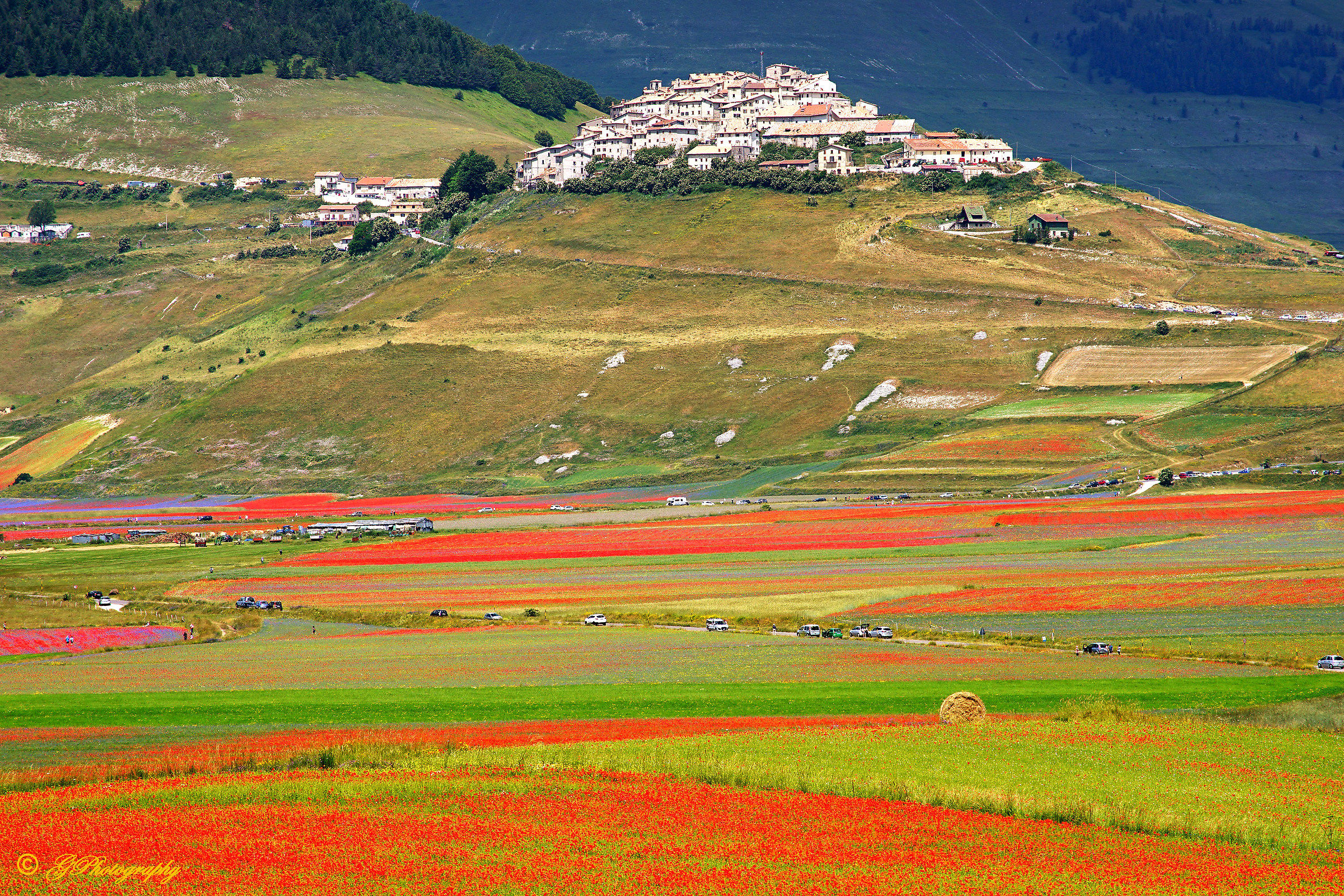 Una Bella Giornata di Luglio