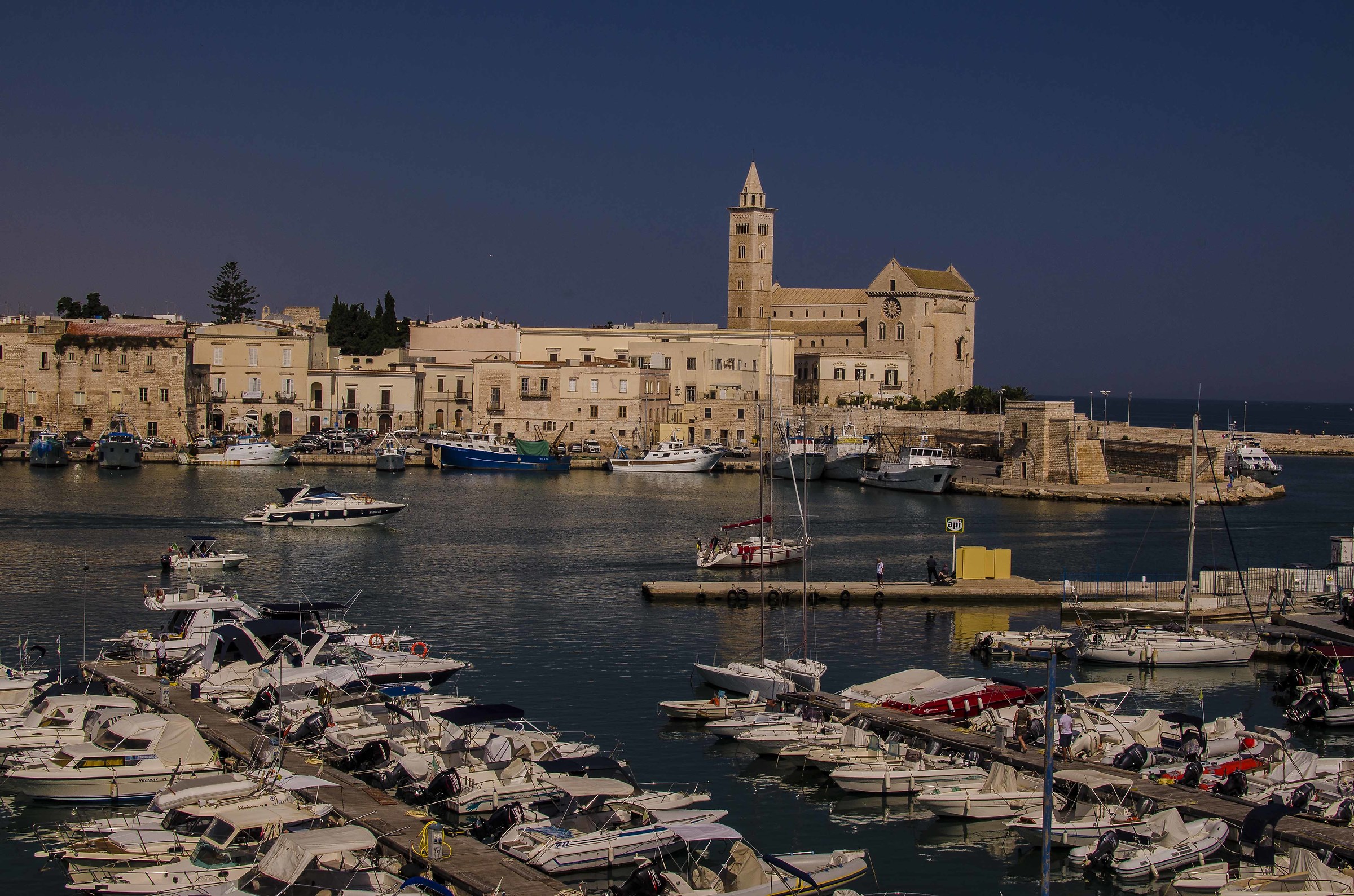 Trani, cathedral