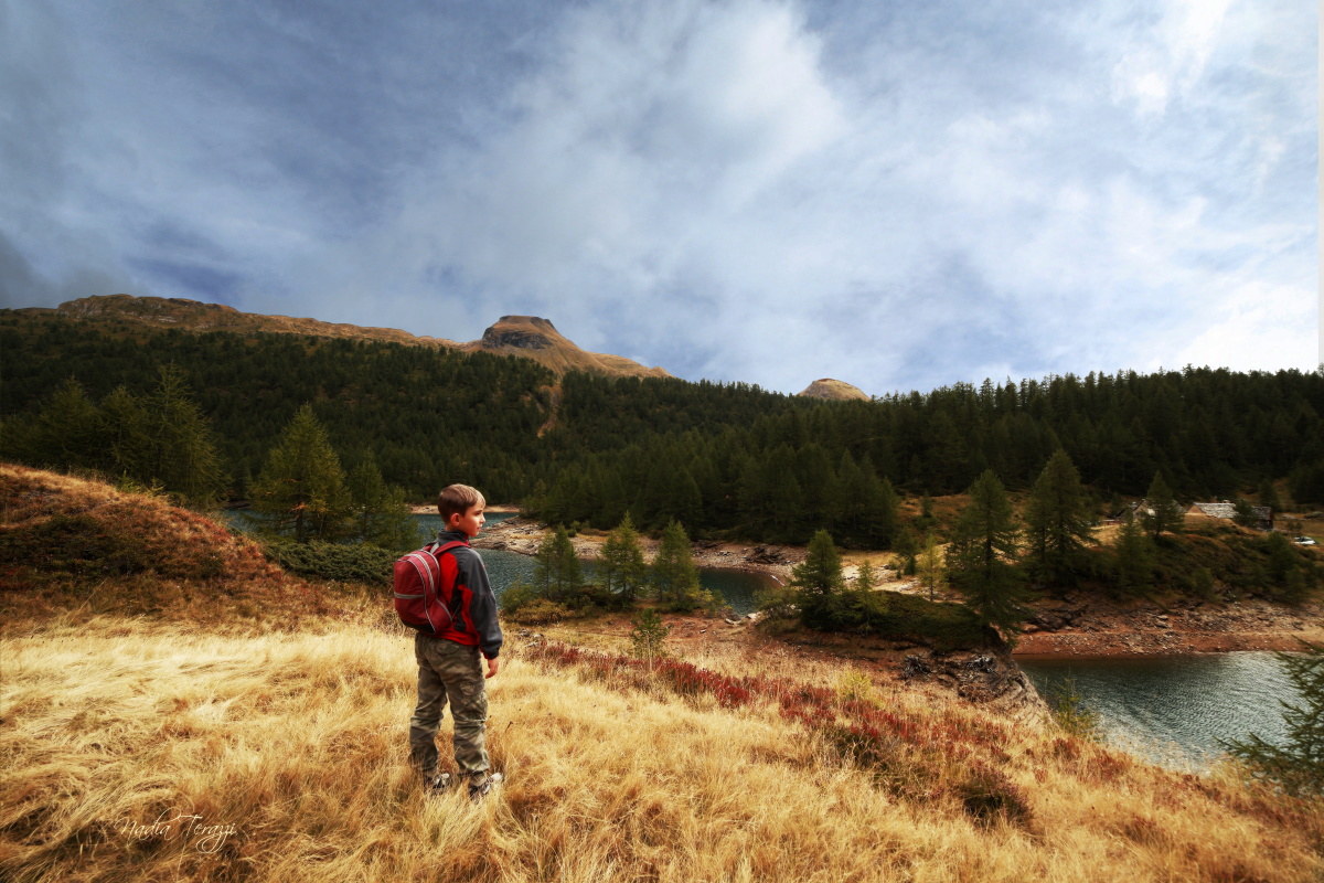 On the islet of Lake Codelago