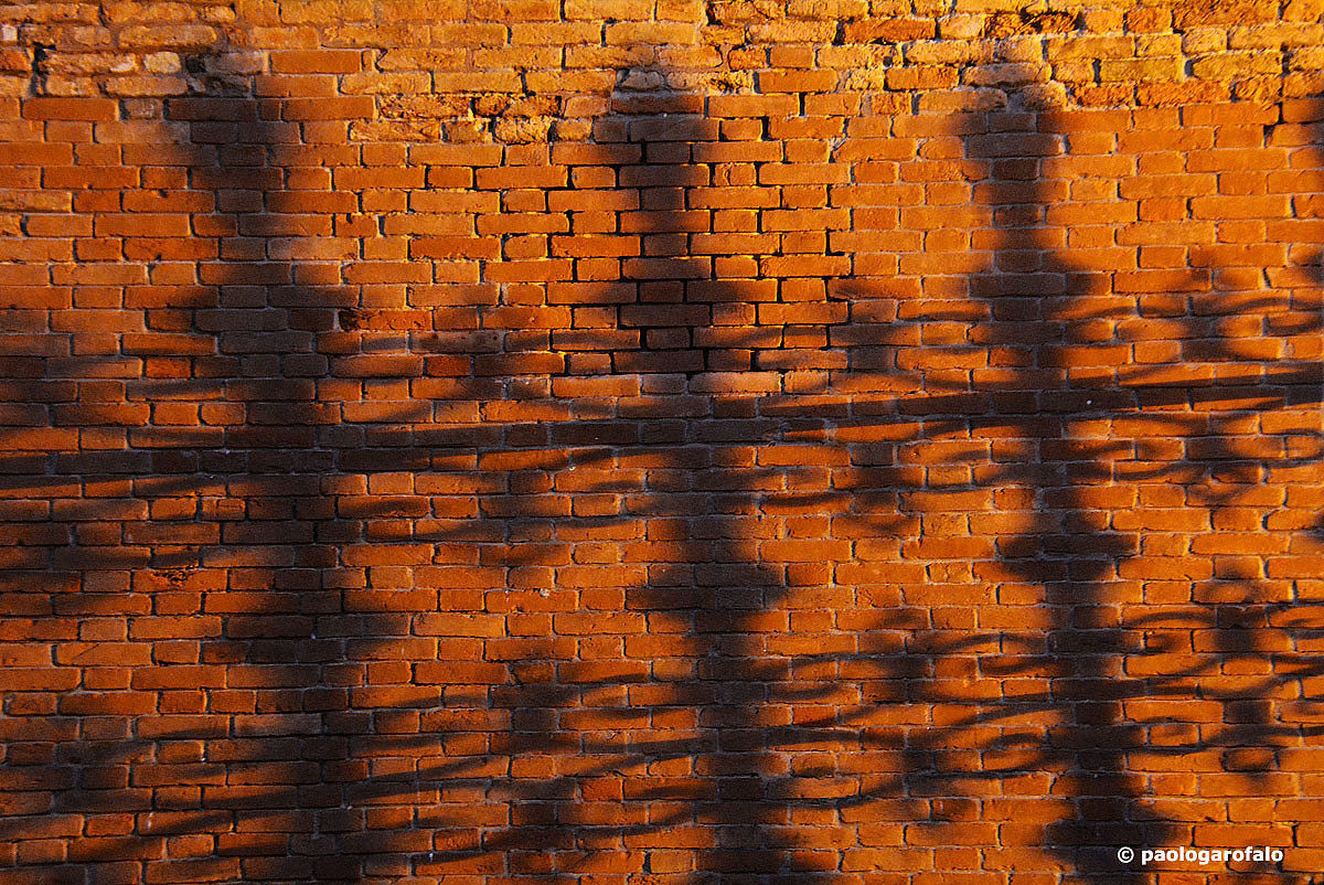 shadows on the Arsenal