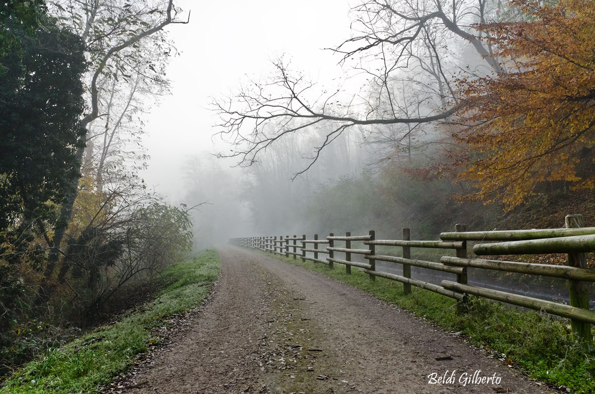 Parco del Ticino - Oliggio