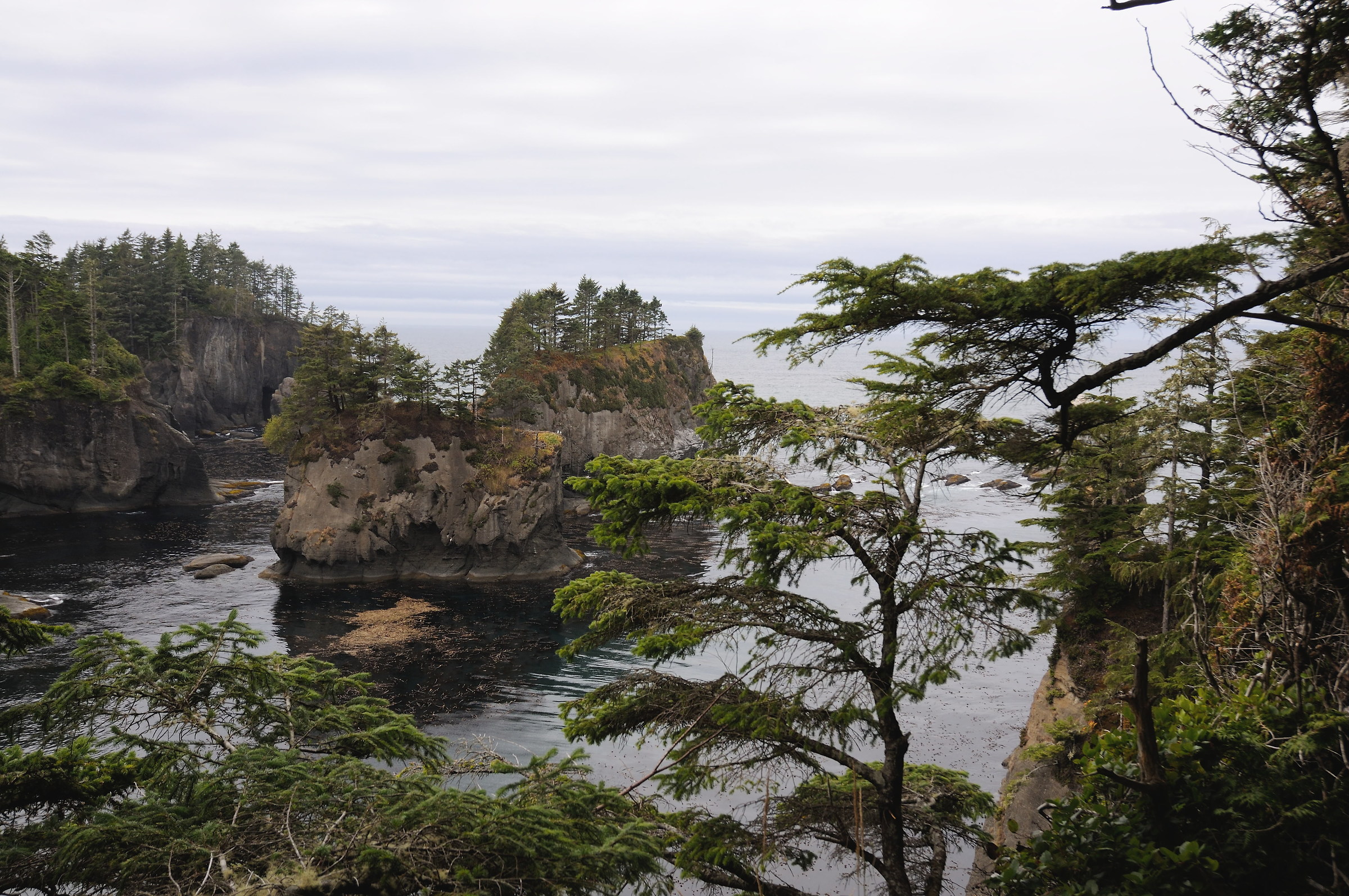 Cape Flattery Olimpic NTL Park