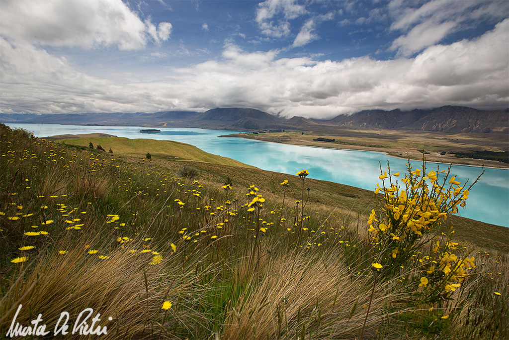 Lake Tekapo