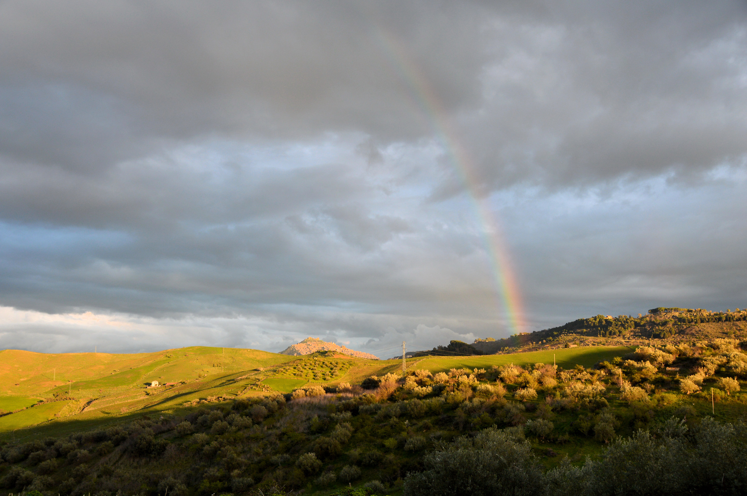 Sicilian countryside in spring