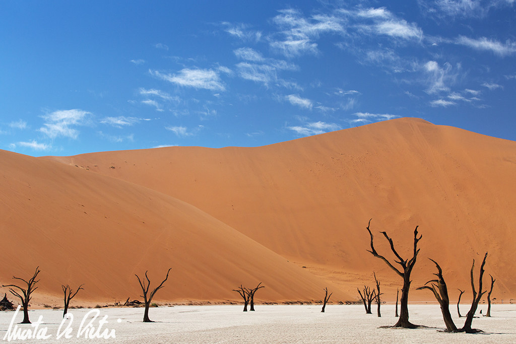 Sossusvlei Area