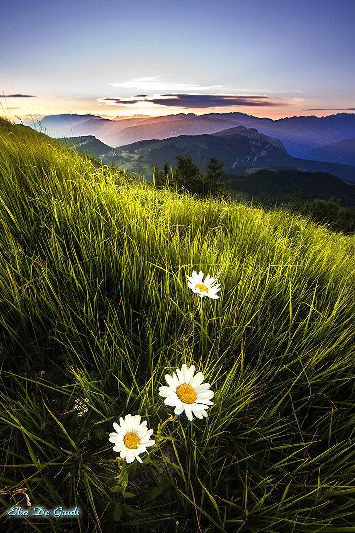 Alba sul monte Baldo