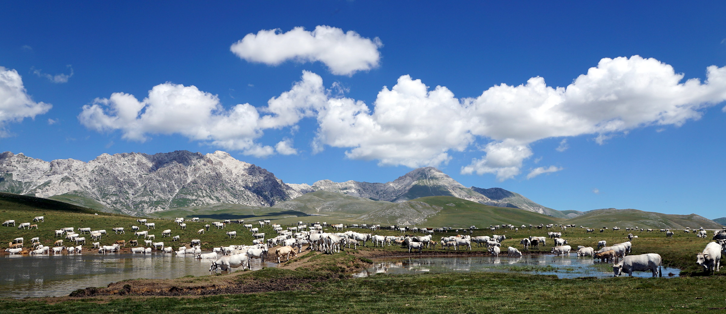 di ritorno dal "Gran Sasso" n. 2