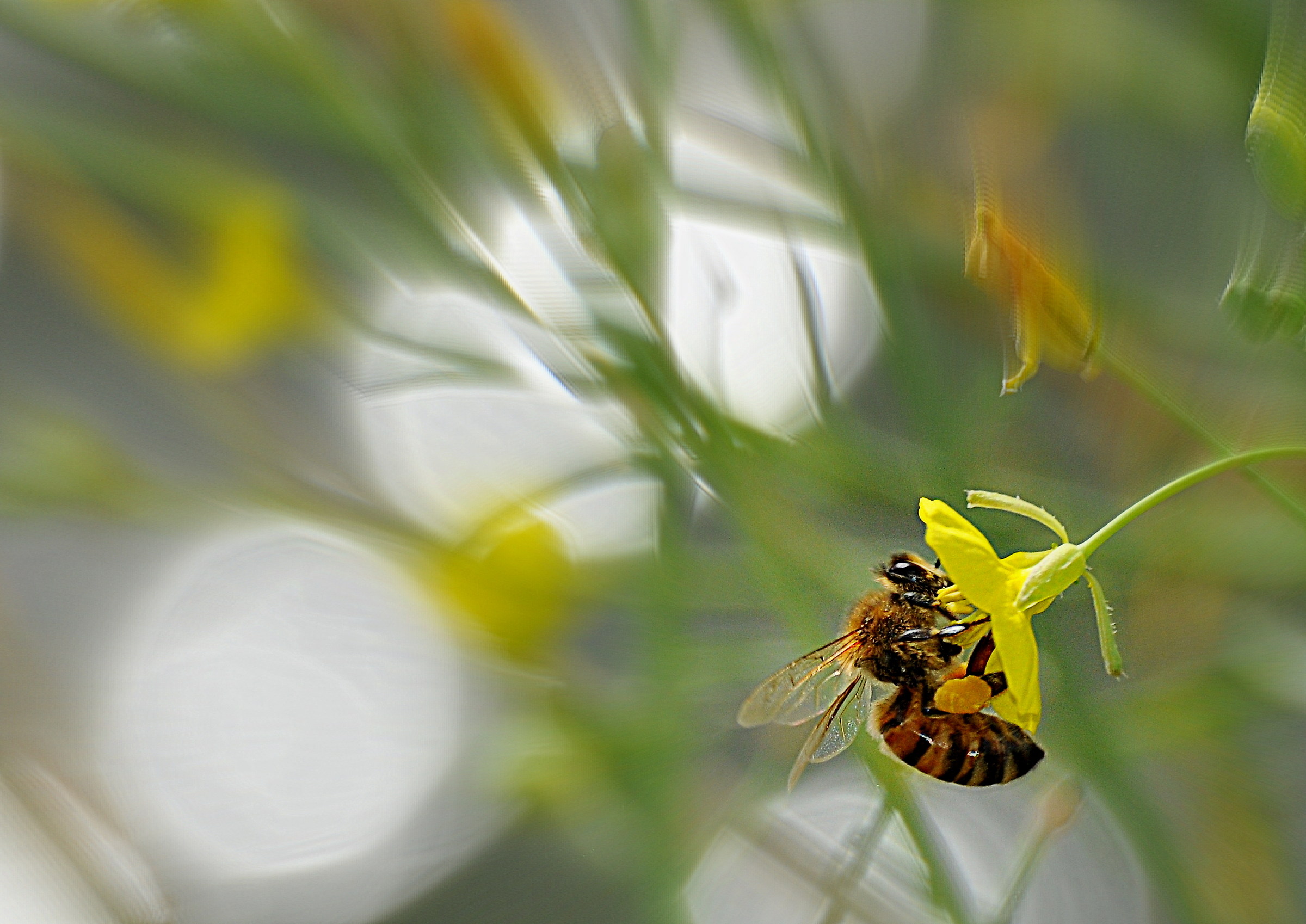 L'estate sta finendo, ma c'è ancora vita tra ...
