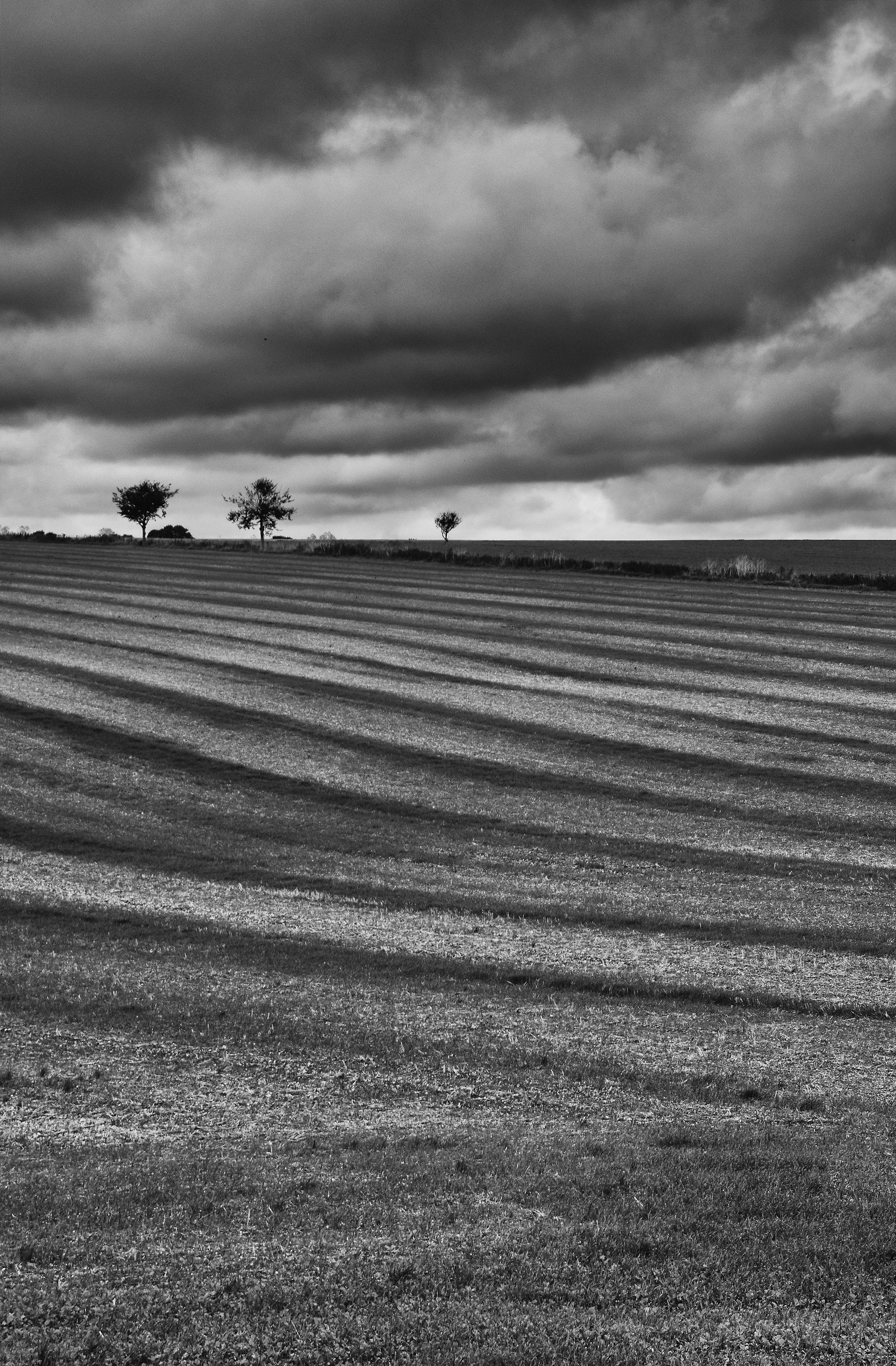 Spazzare linee sotto i cieli drammatici