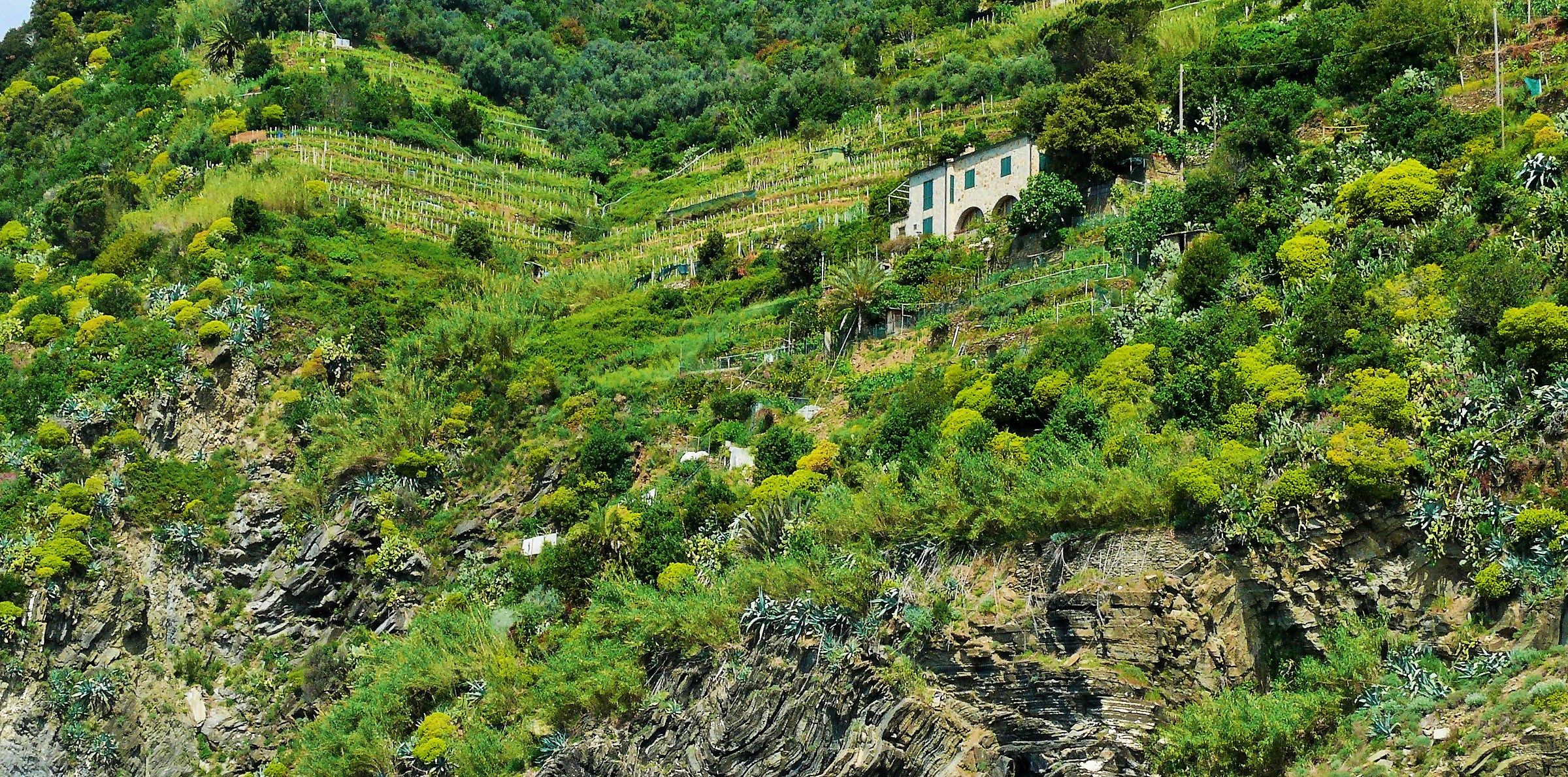 cinque terre
