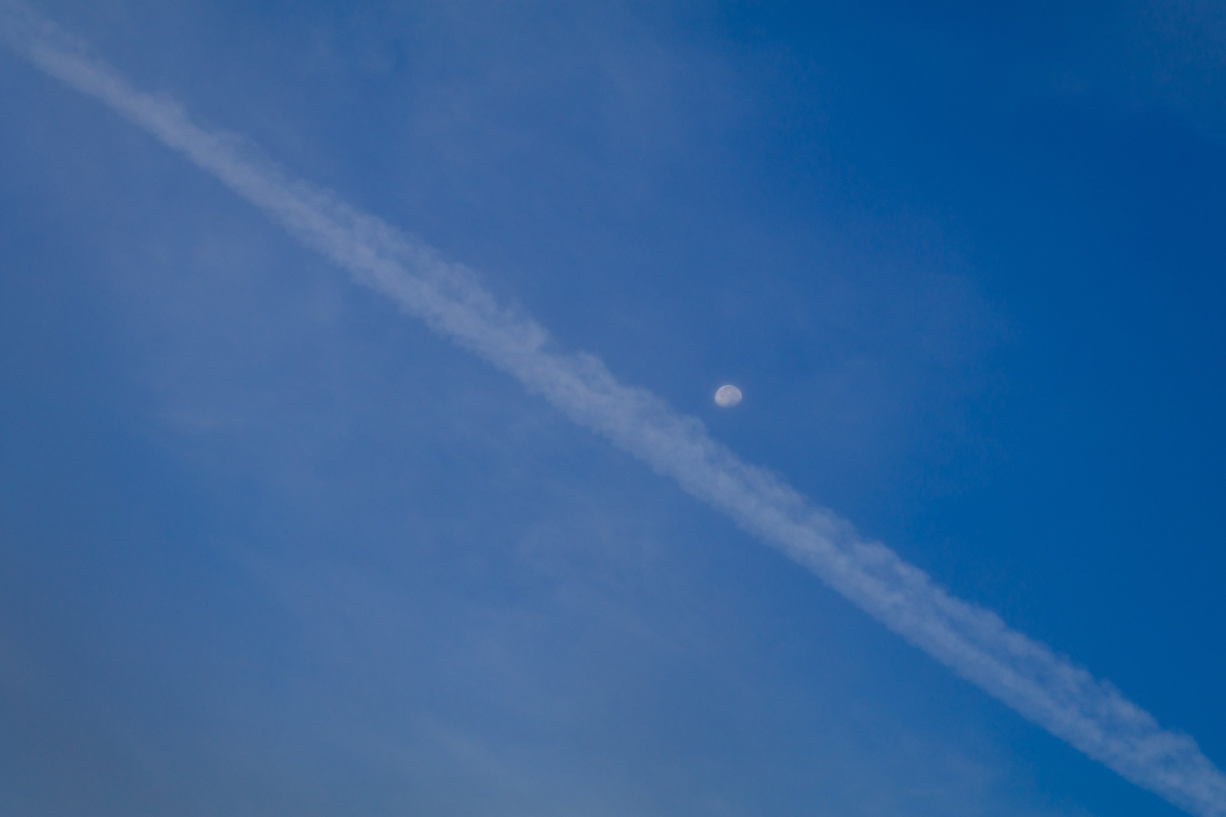 Net! Ripeti il servizio.