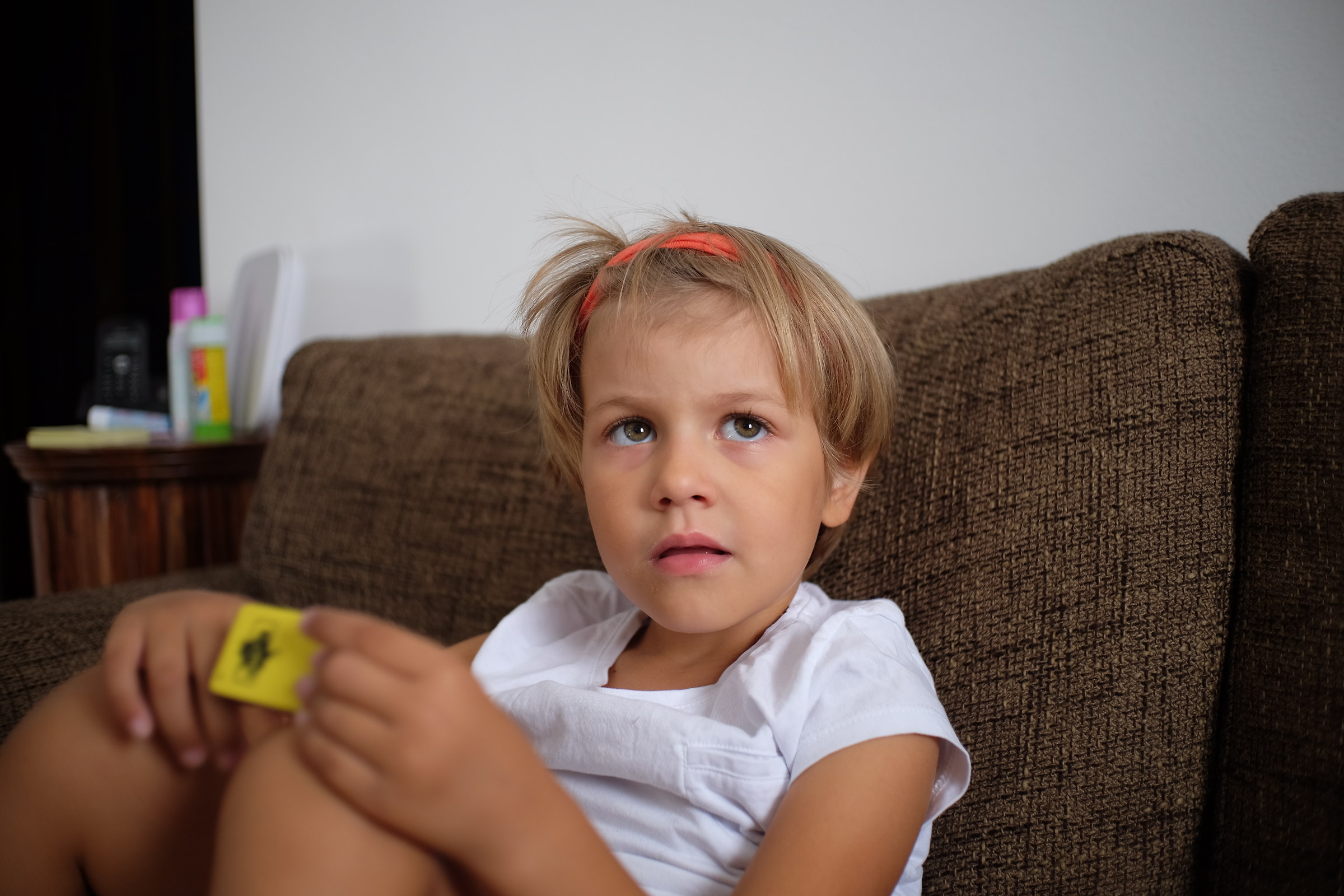 Try Zonlai 25 / 1.8 fuji