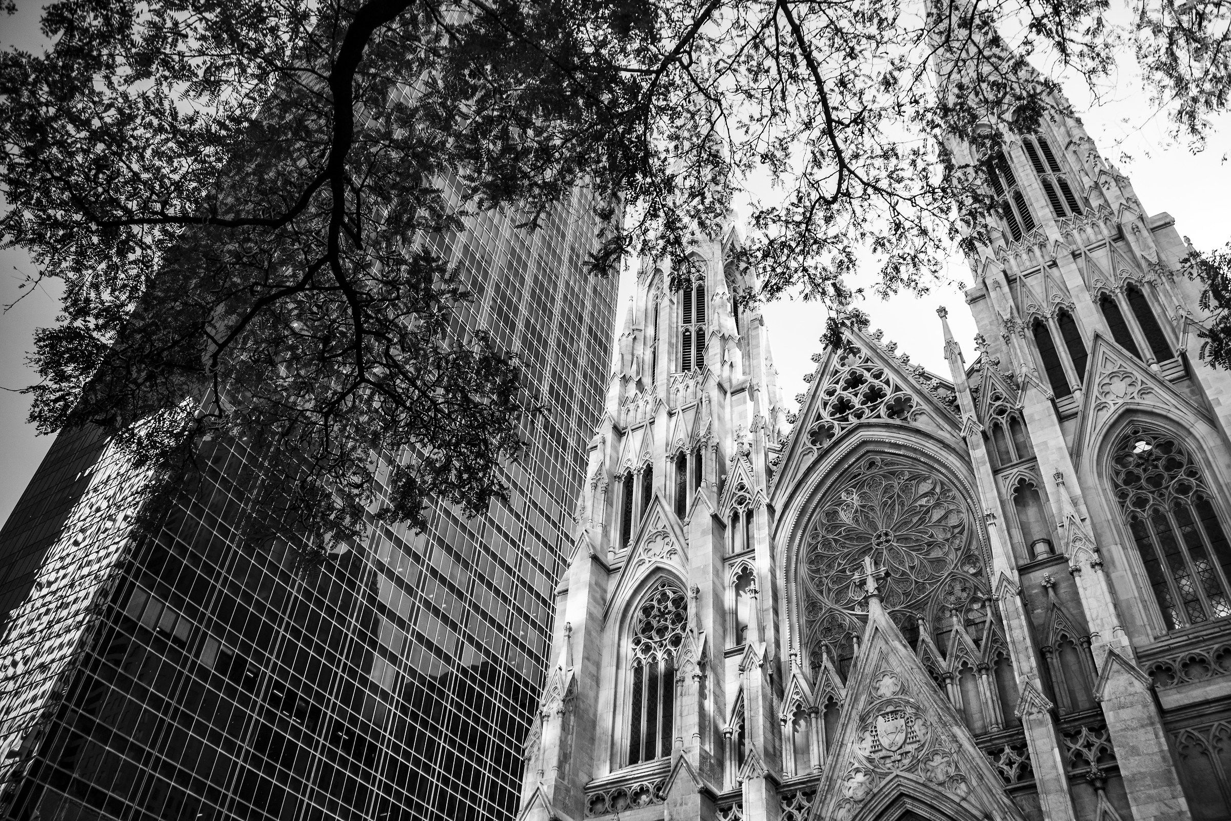 st.patrick e i grattacieli